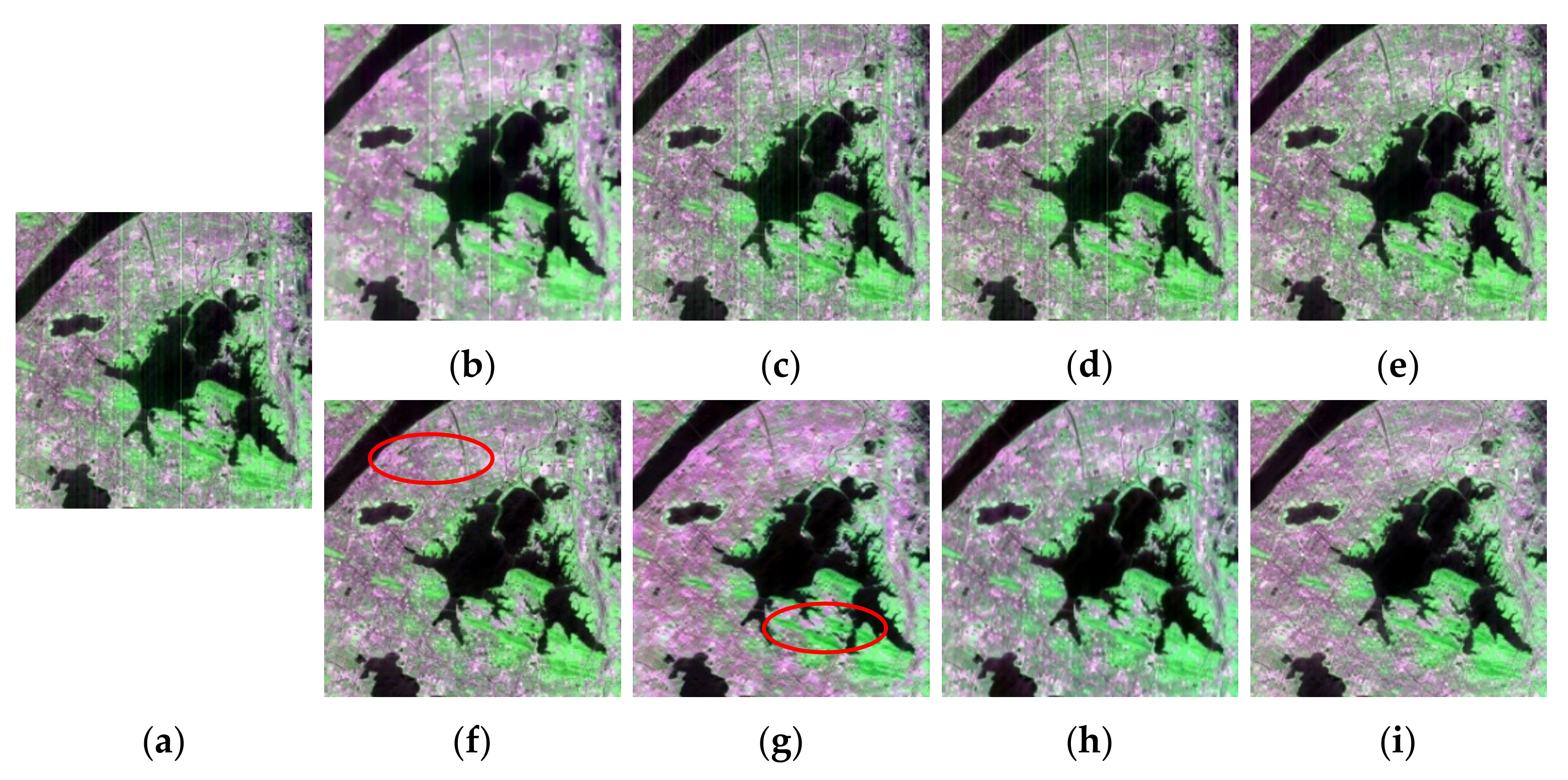 Remotesensing 14 00467 g009