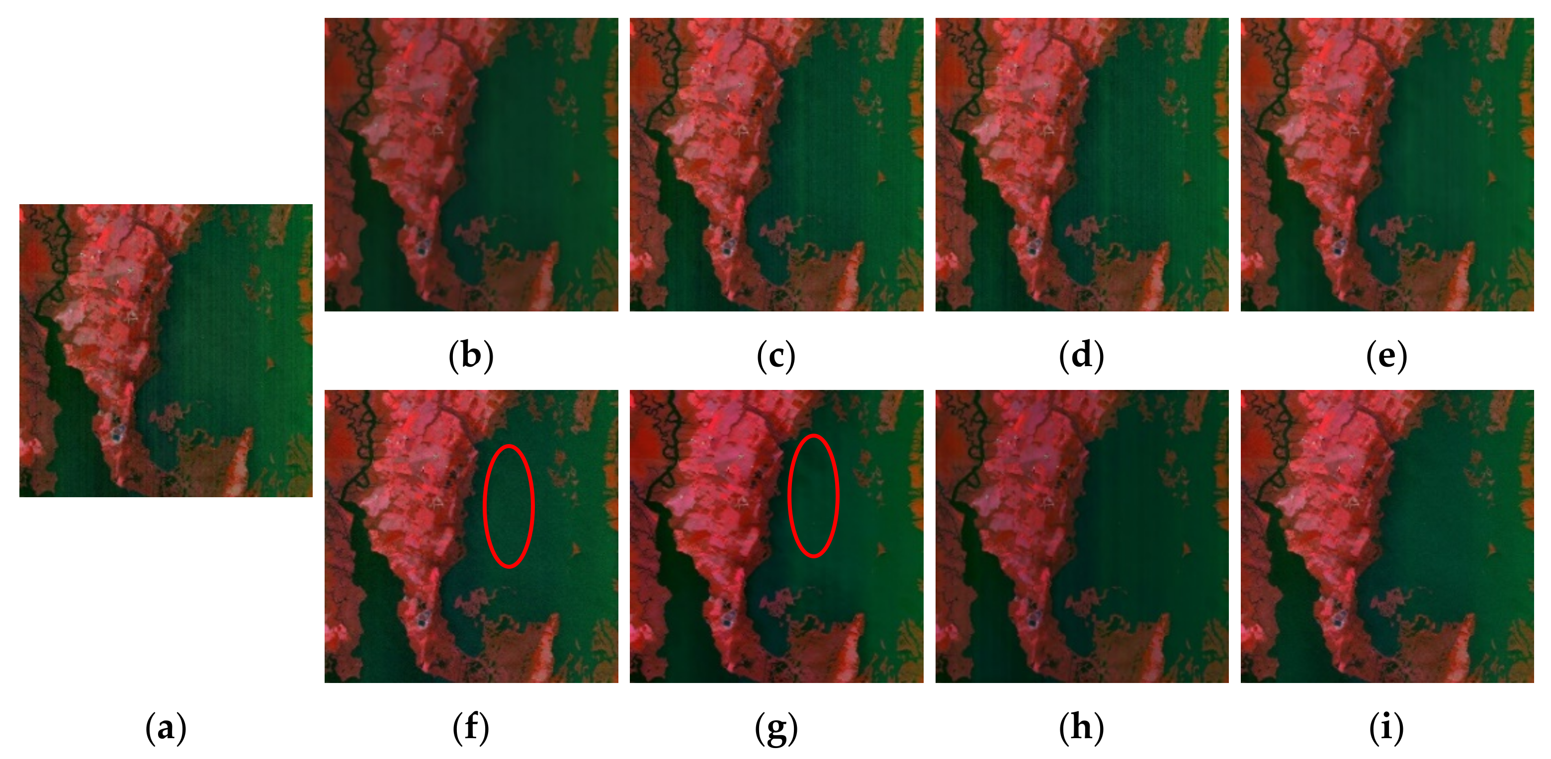 Remotesensing 14 00467 g010