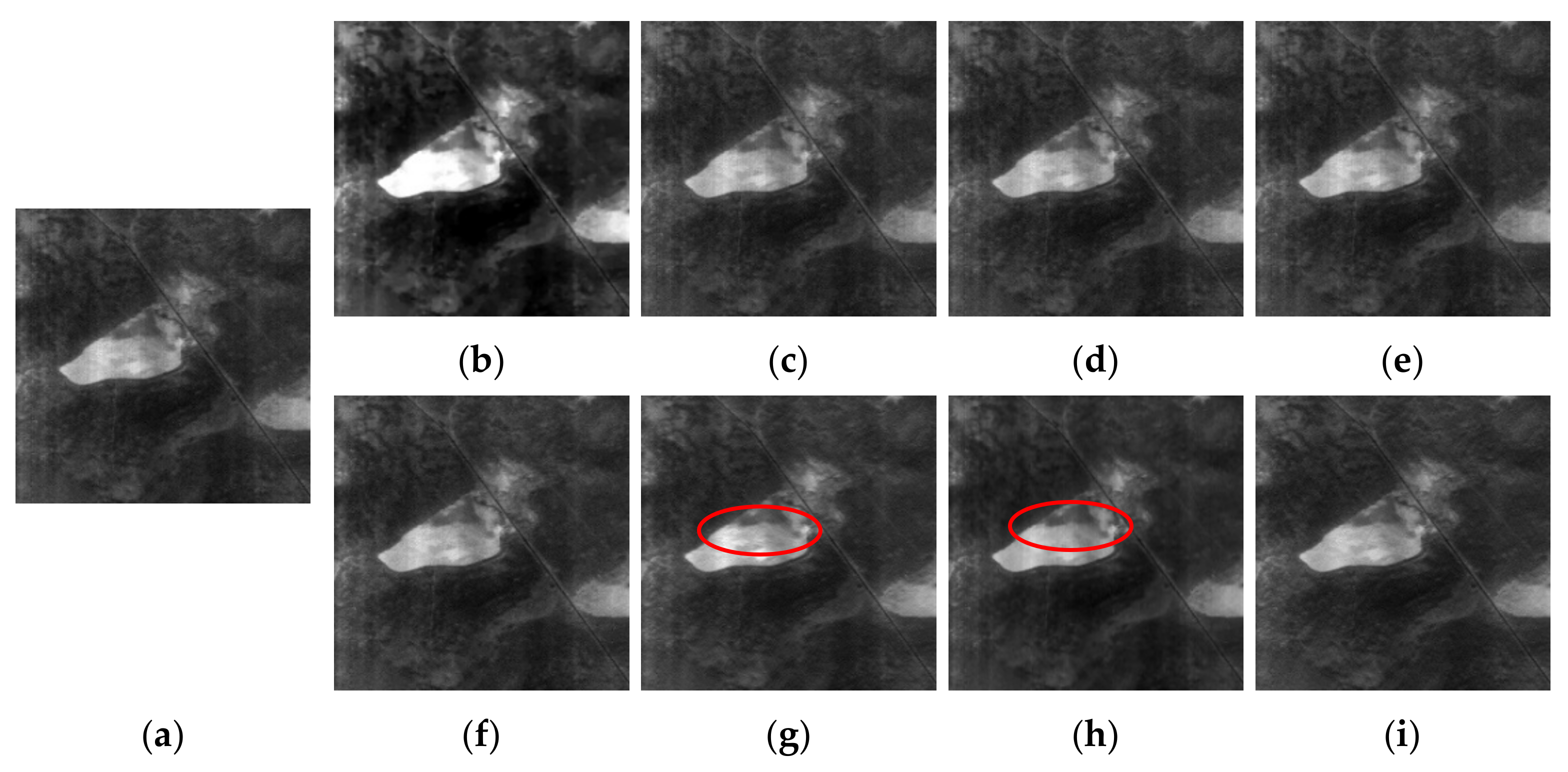 Remotesensing 14 00467 g012