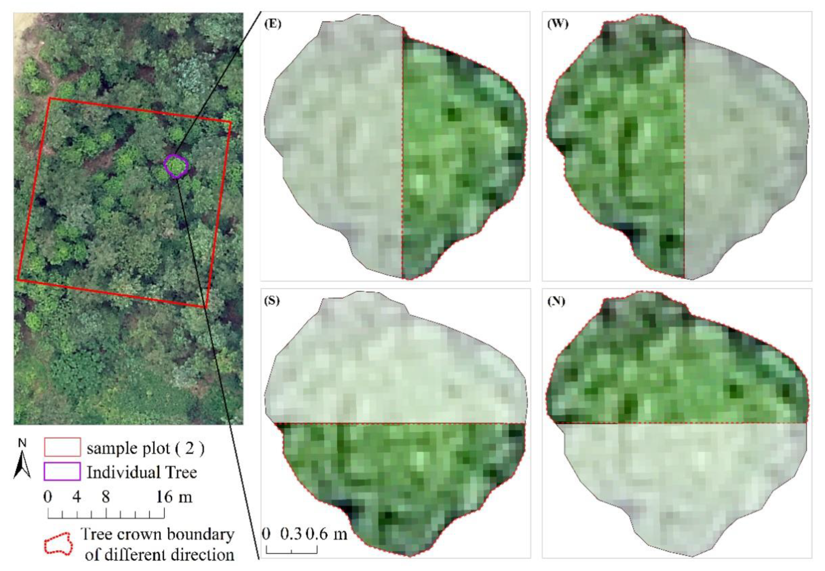 Remotesensing 14 00504 g005