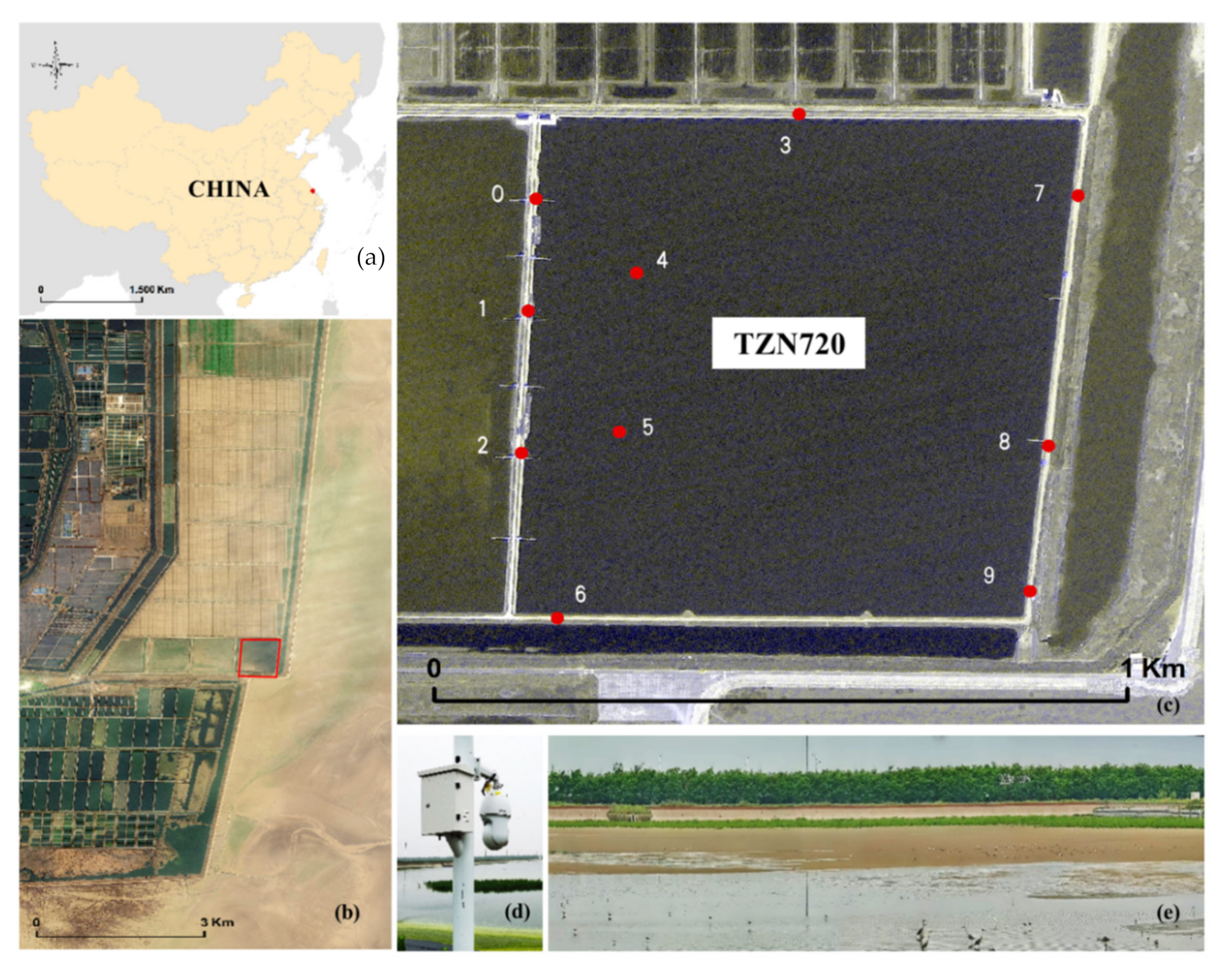 Remotesensing 14 00514 g001 Remotesensing 14 00514 g001