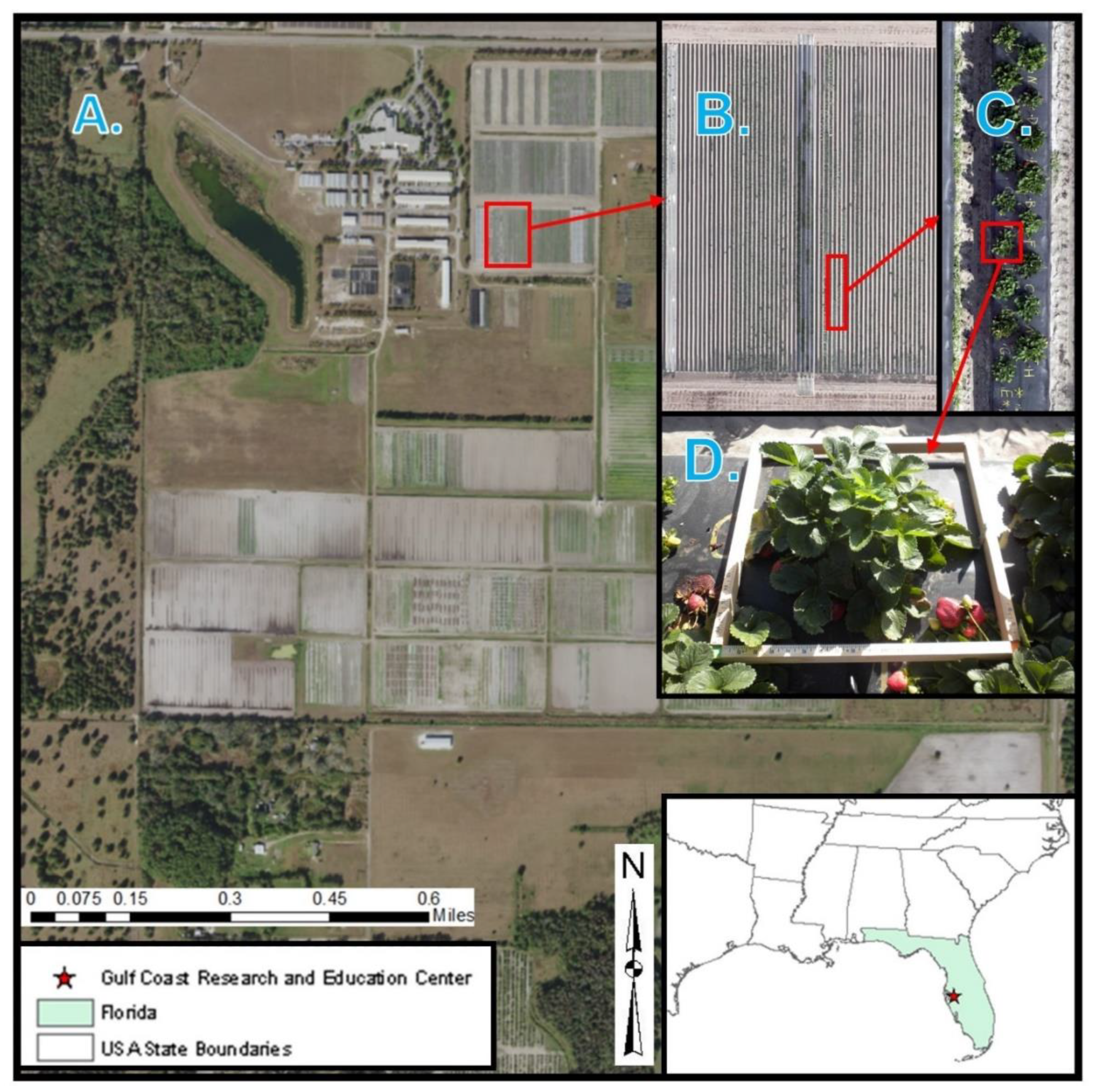 Remotesensing 14 00548 g001