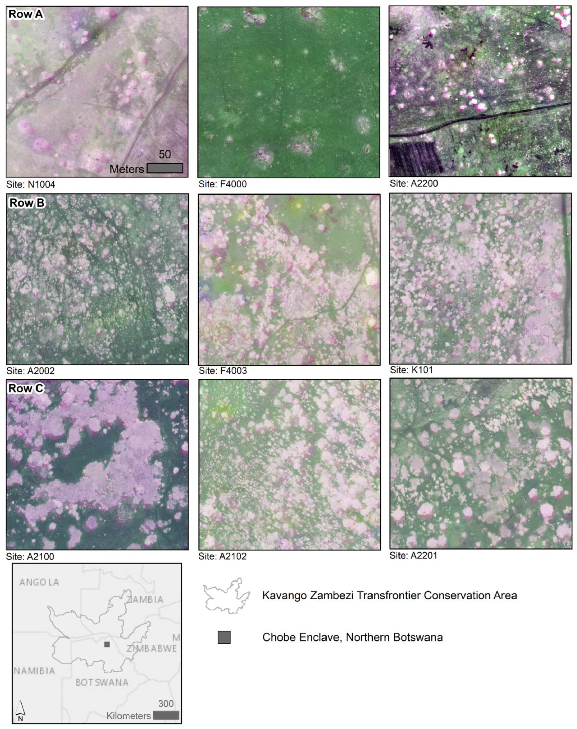 Remotesensing 14 00551 g001 550