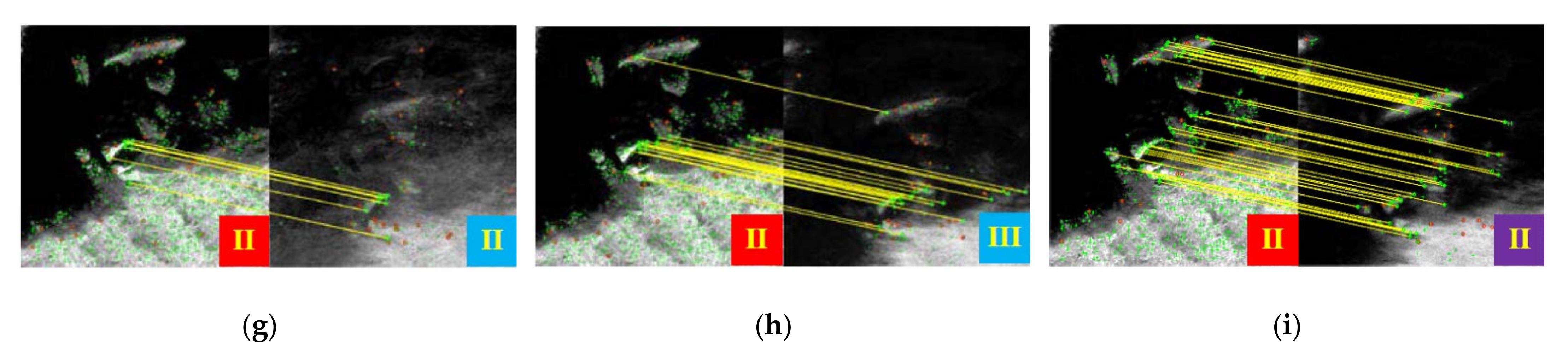 Remotesensing 14 00573 g007b 550