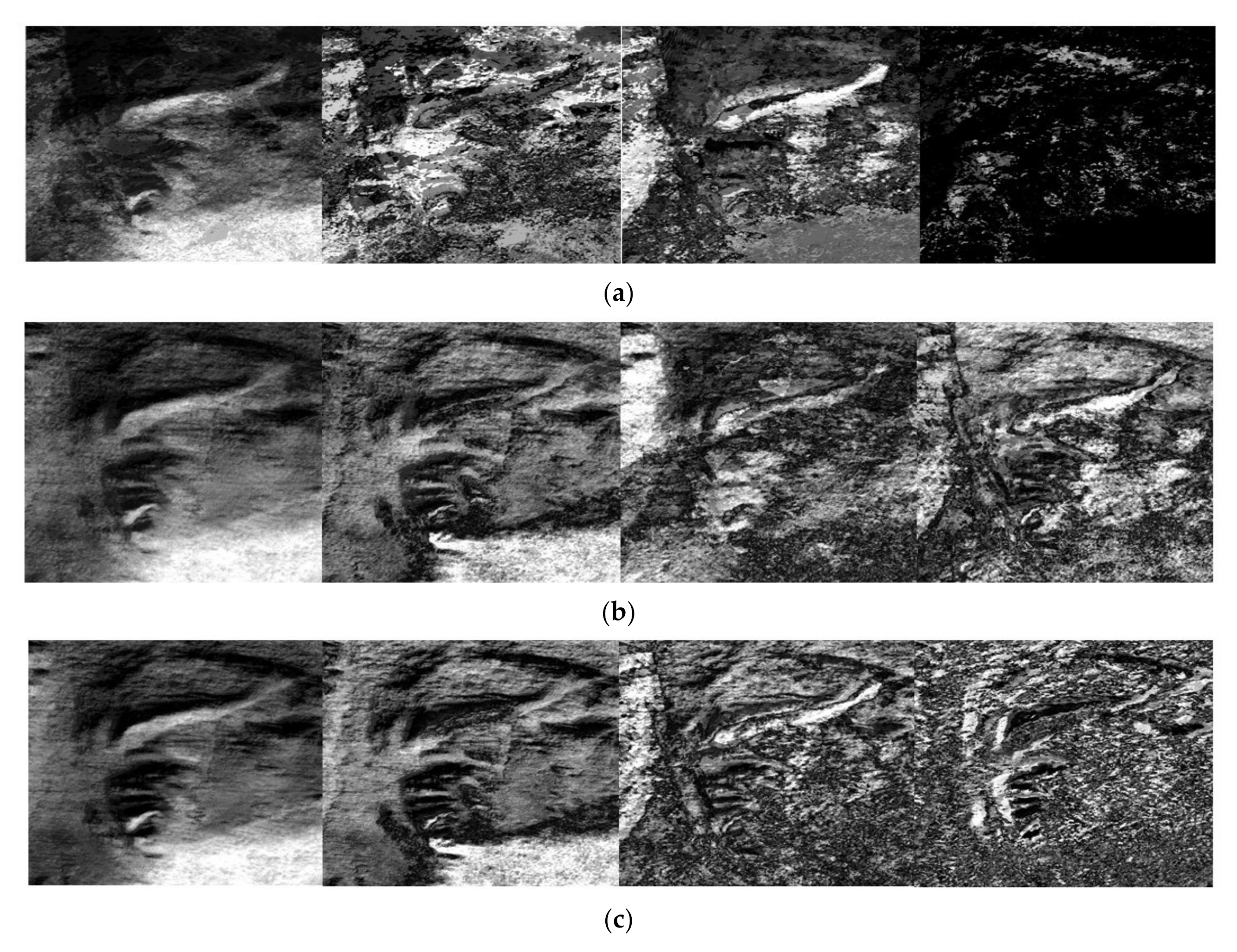 Remotesensing 14 00573 g016 550