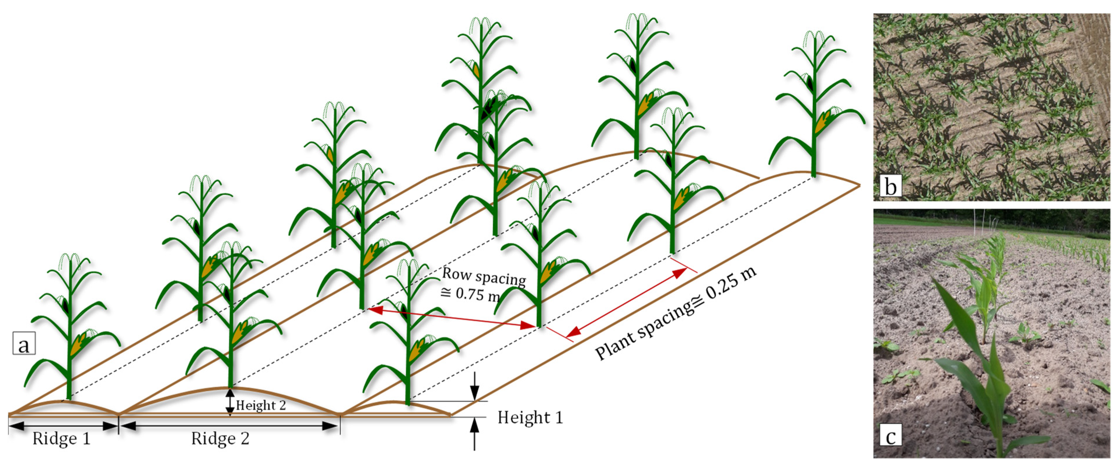 Remotesensing 14 00585 g008