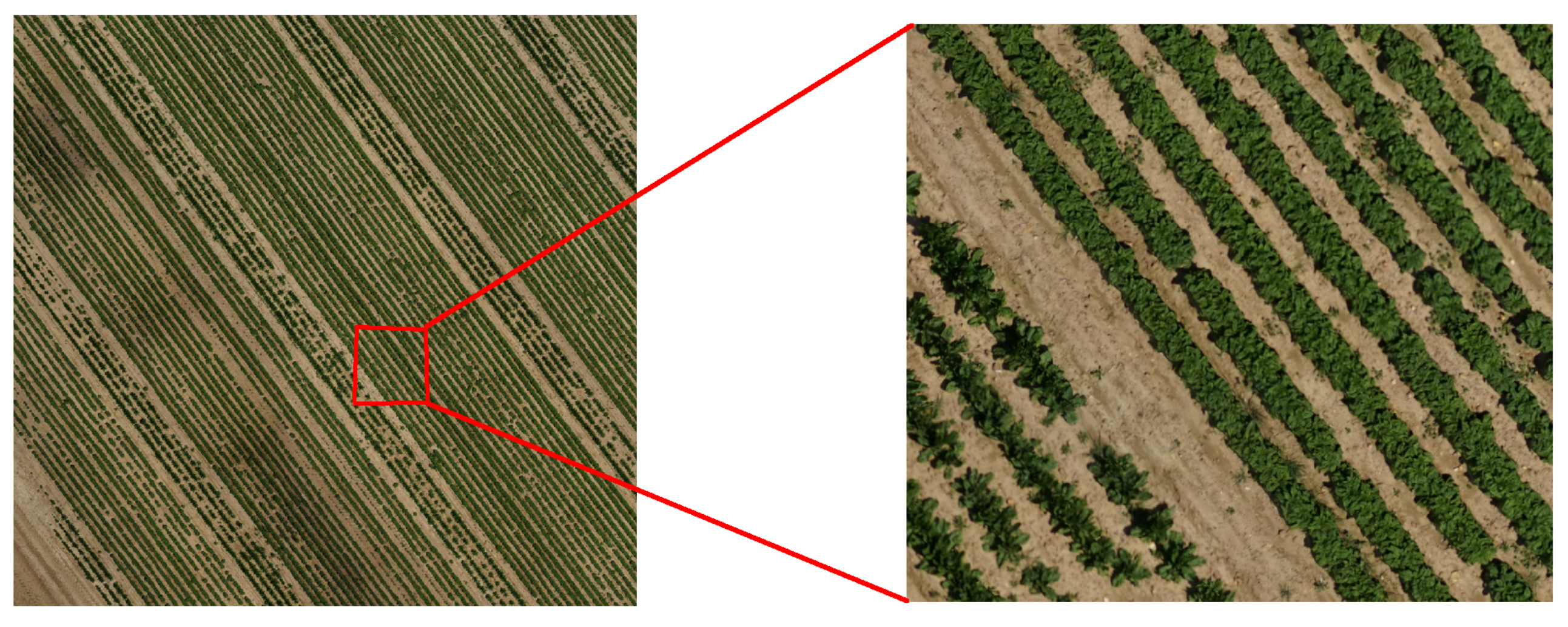 Remotesensing 14 00592 g003