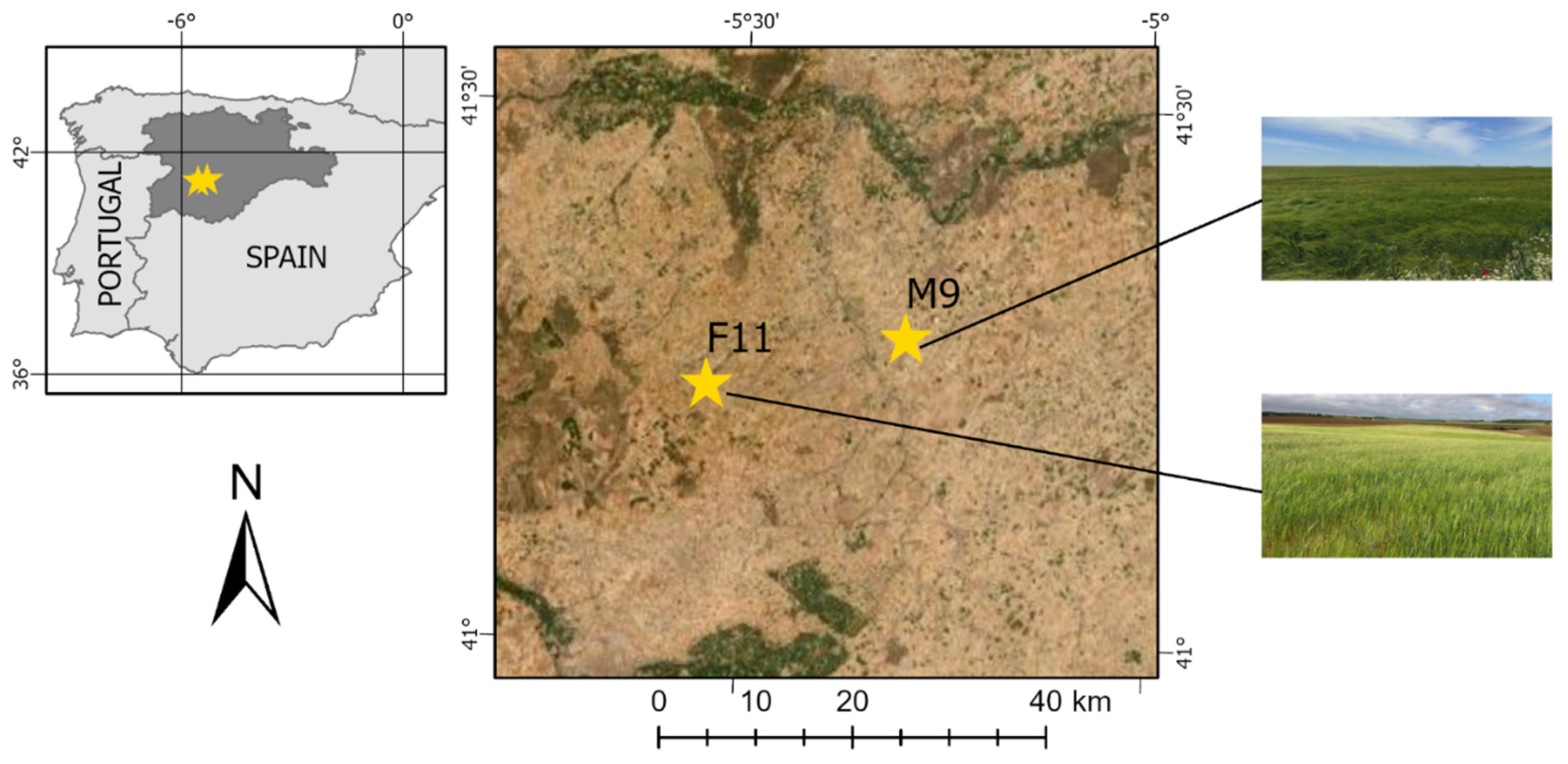 Remotesensing 14 00614 g001 550