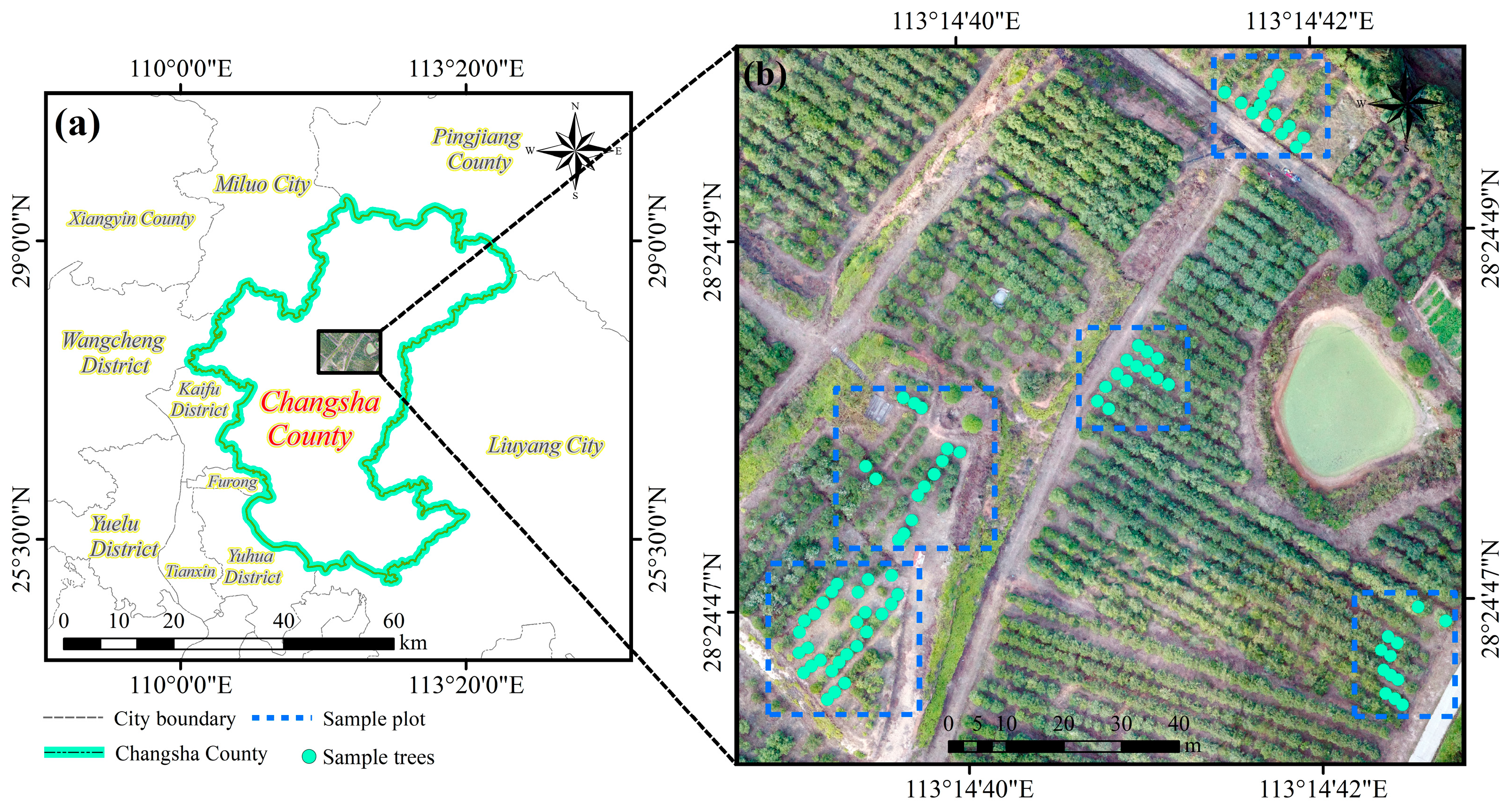 Remotesensing 14 00642 g001
