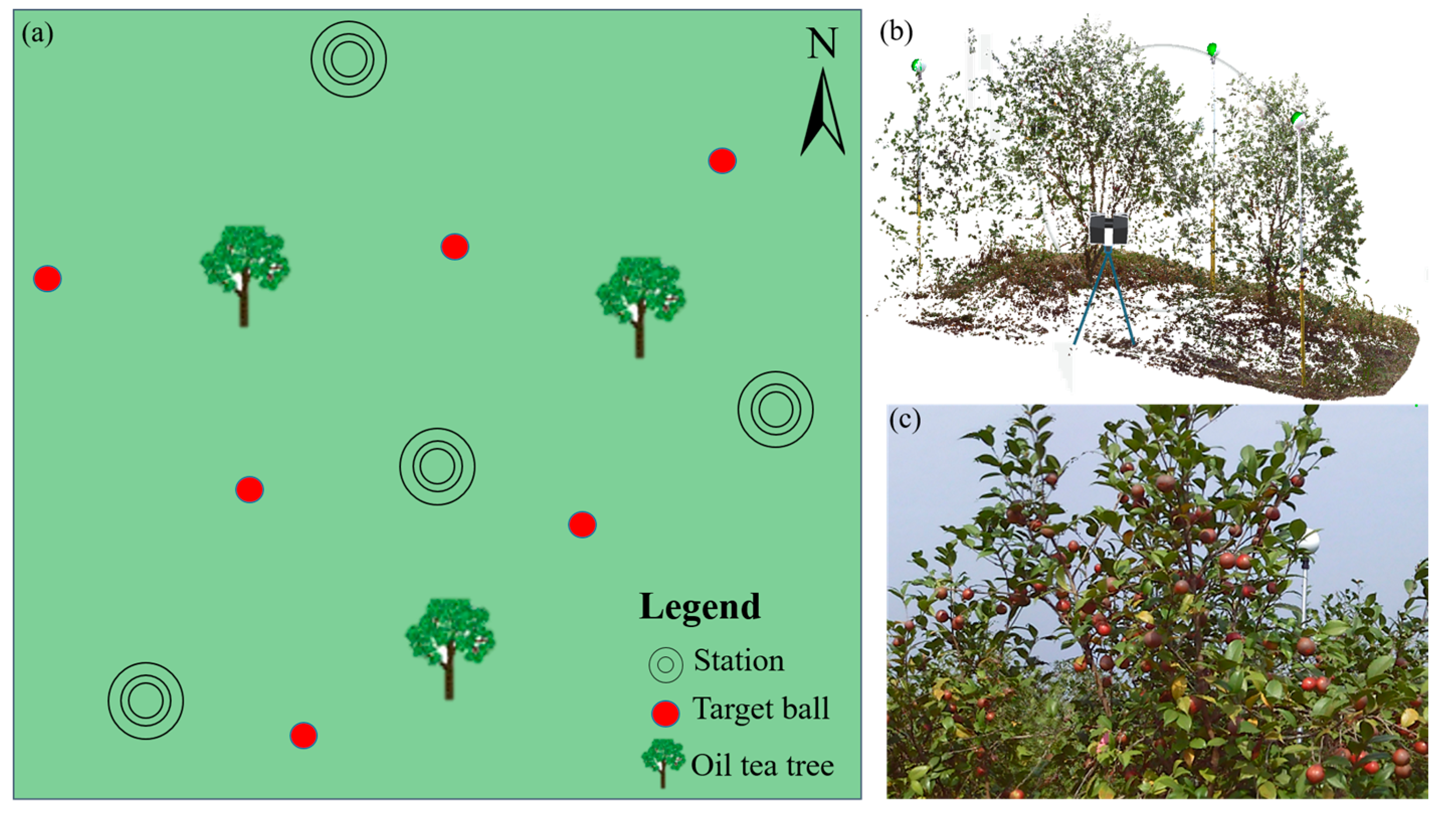 Remotesensing 14 00642 g003