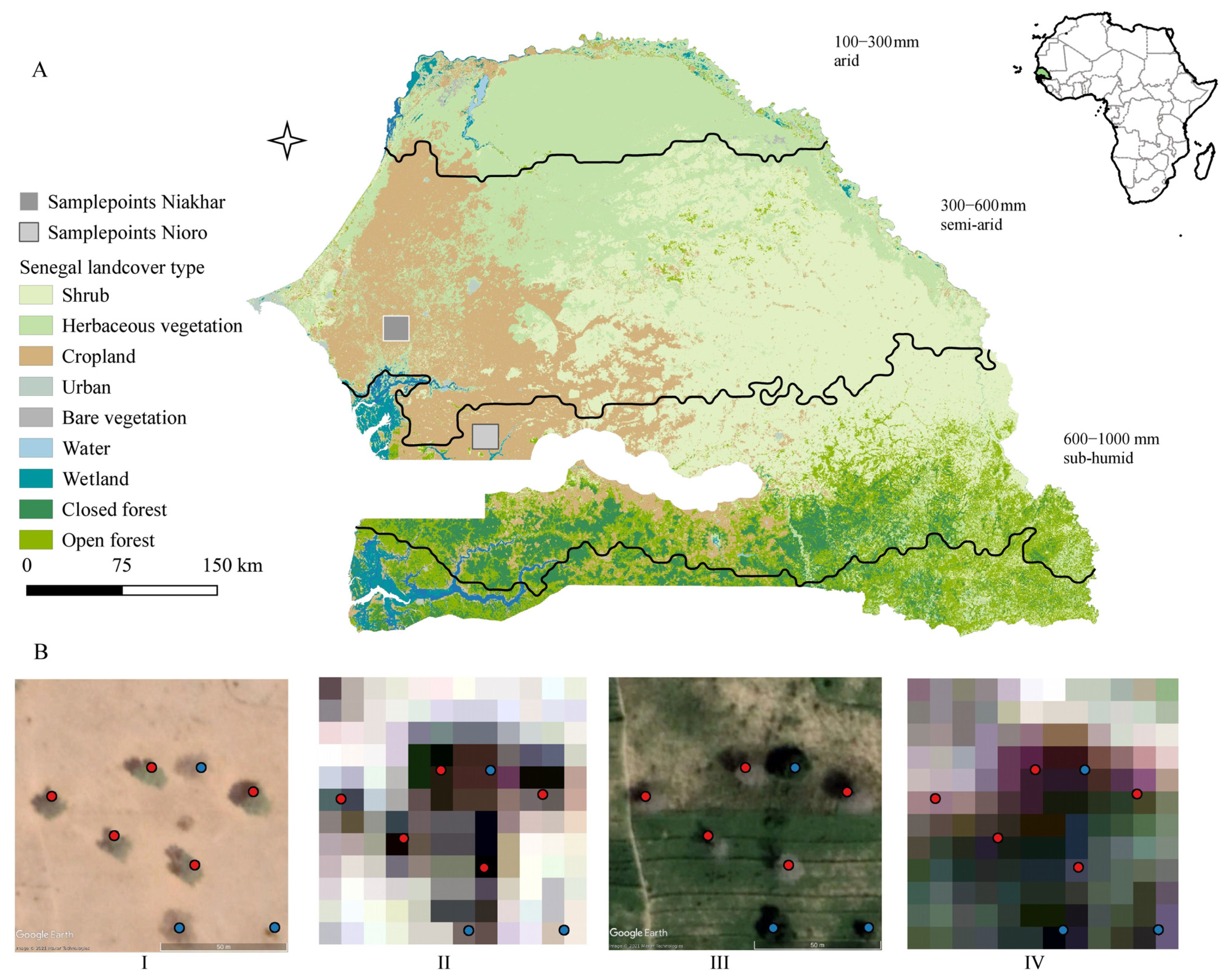 Remote Sensing Free Full Text Mapping The Abundance Of Multipurpose Agroforestry Faidherbia Albida Trees In Senegal