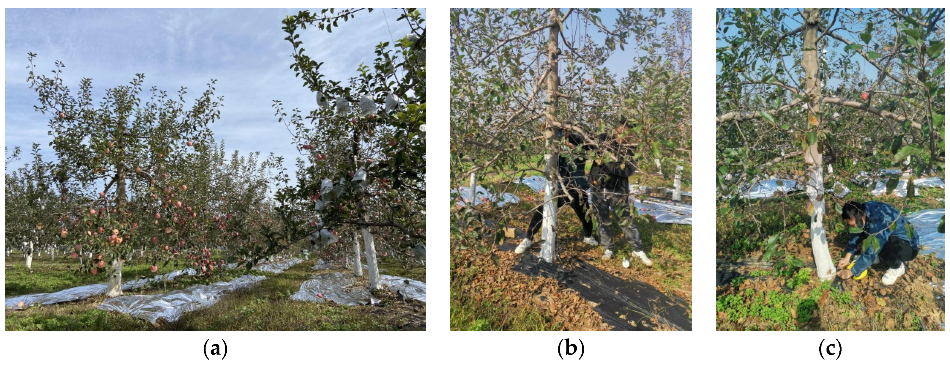 Remotesensing 14 00675 g014