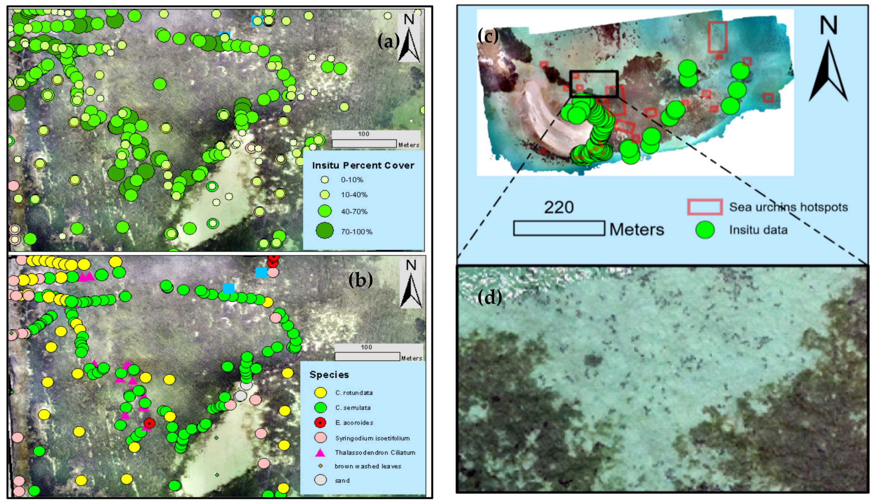 Remotesensing 14 00680 g003 Remotesensing 14 00680 g003