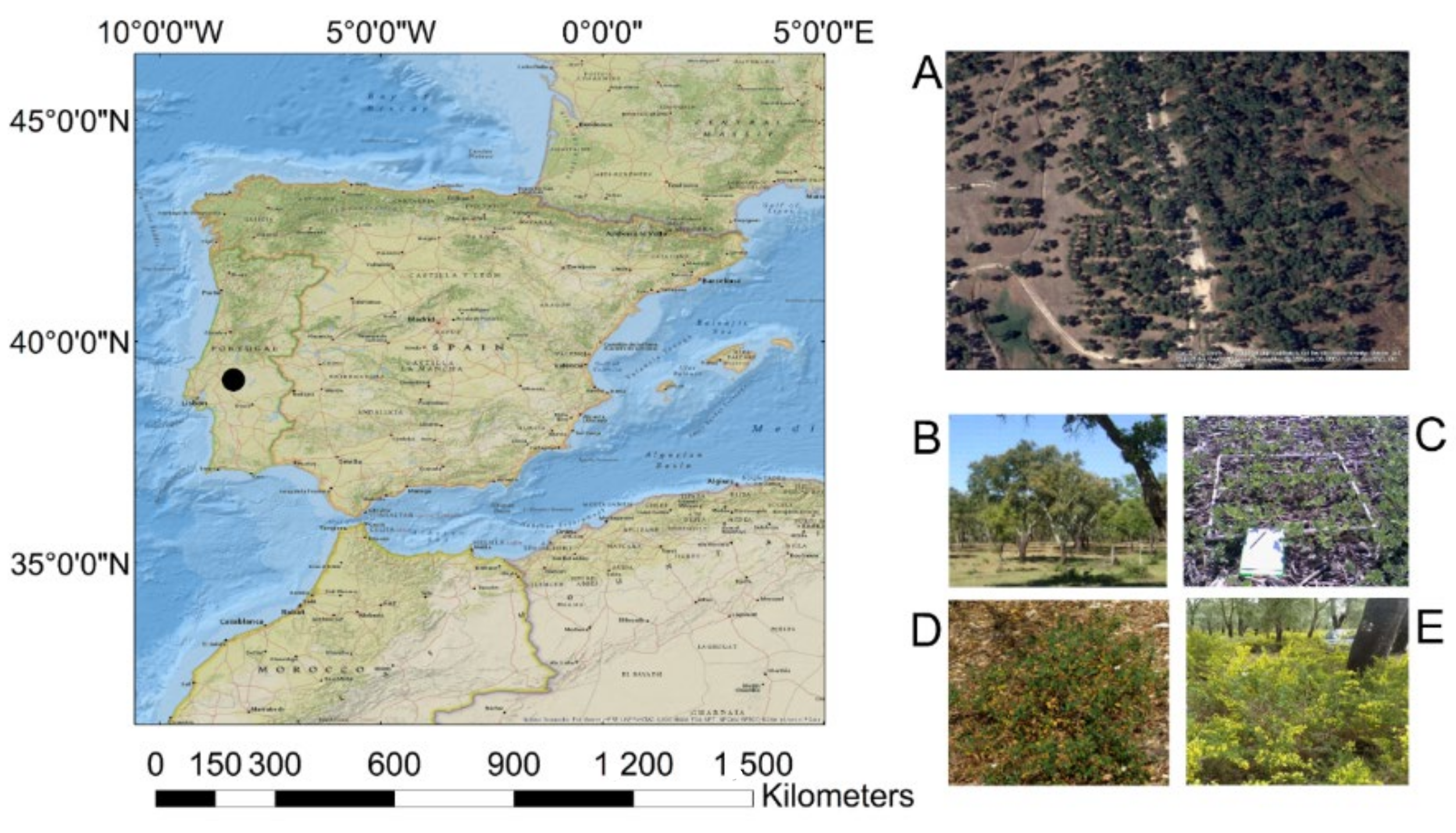 Remotesensing 14 00711 g001