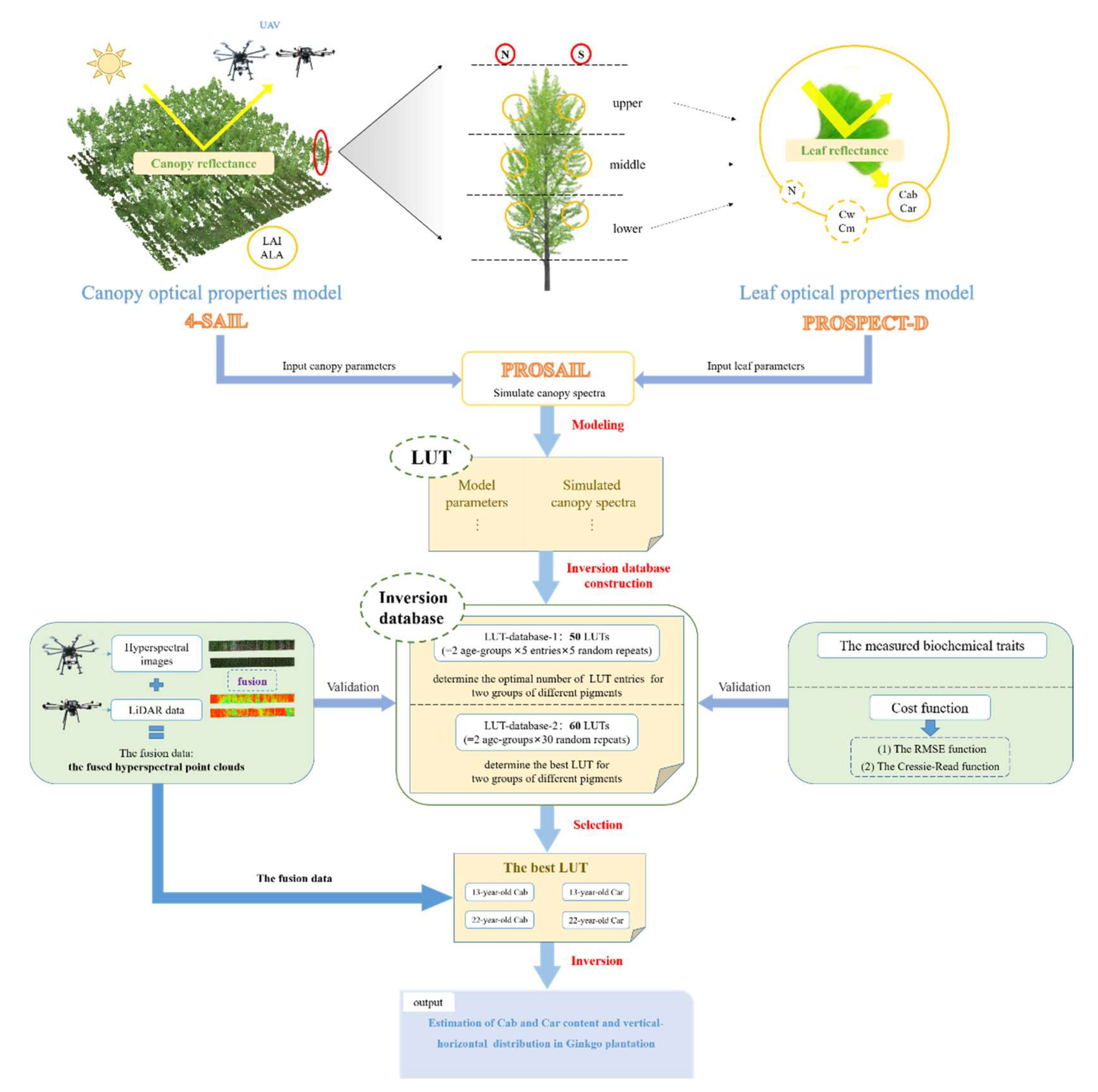Remotesensing 14 00715 g002