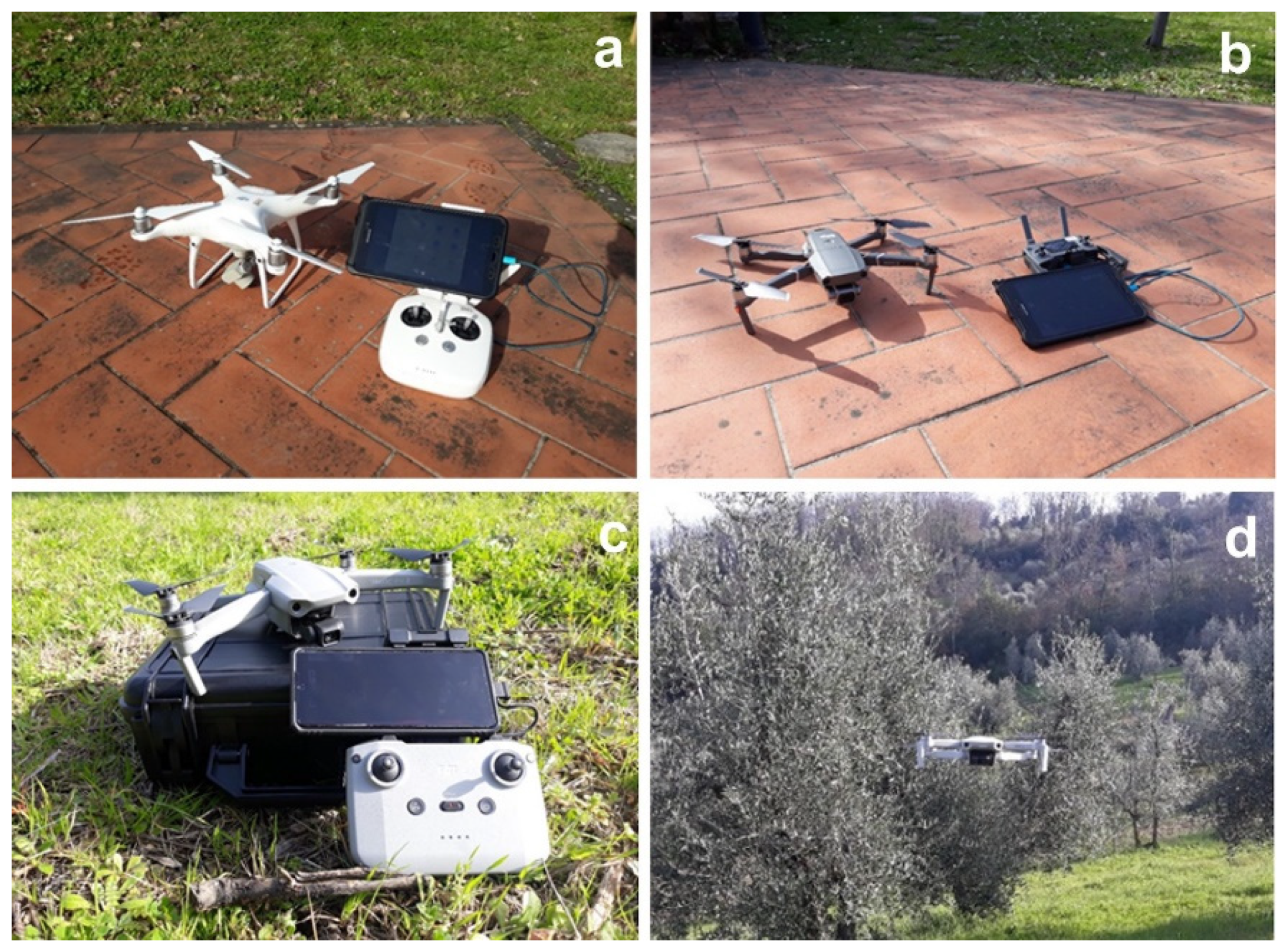 Remotesensing 14 00726 g001 550