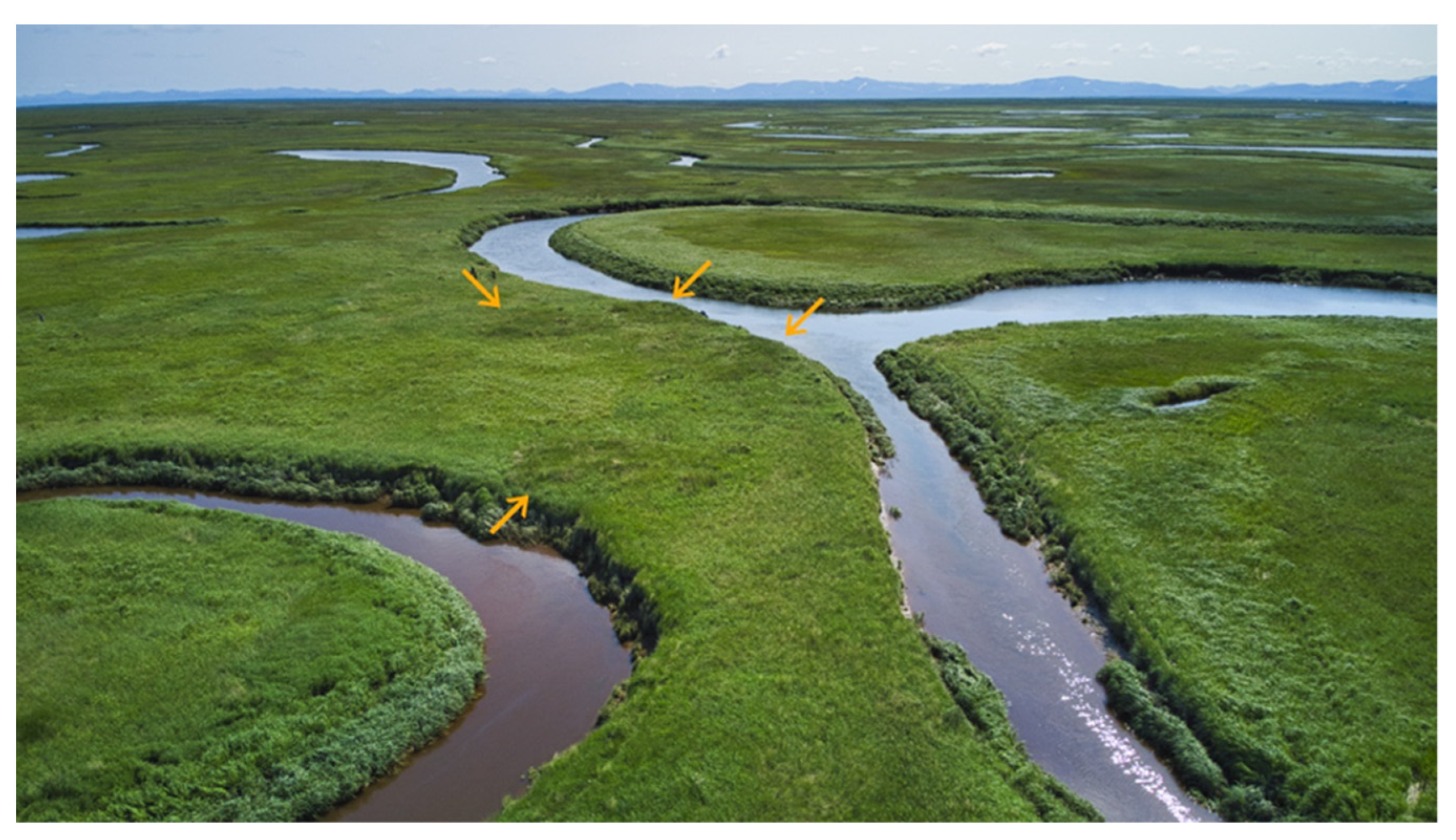 Remotesensing 14 00728 g013