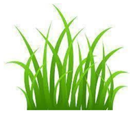 Remotesensing 14 00728 i003