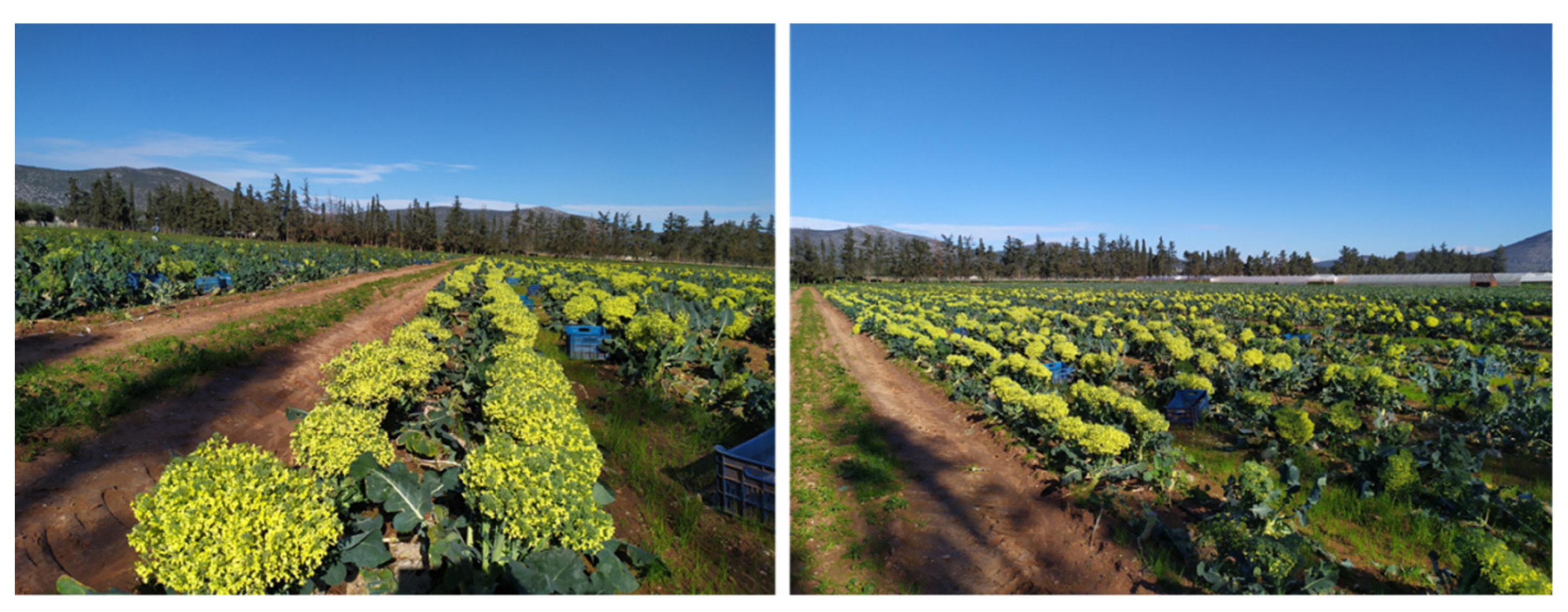 Remotesensing 14 00731 g001