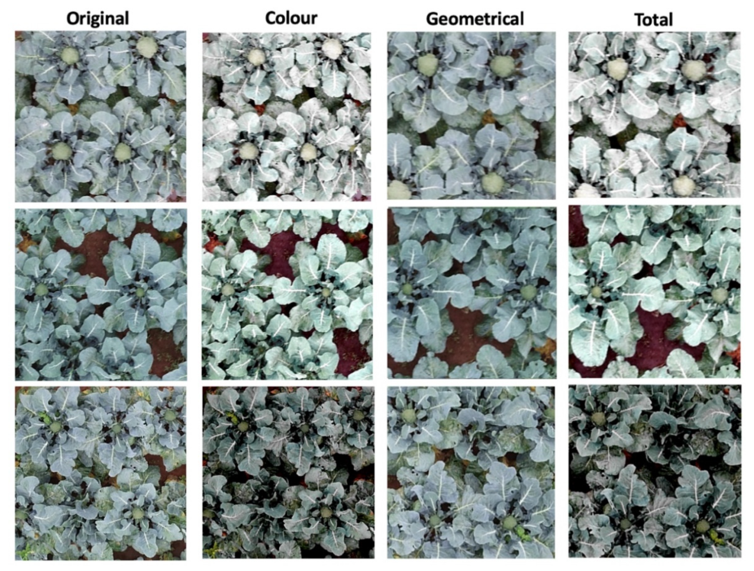 Remotesensing 14 00731 g007