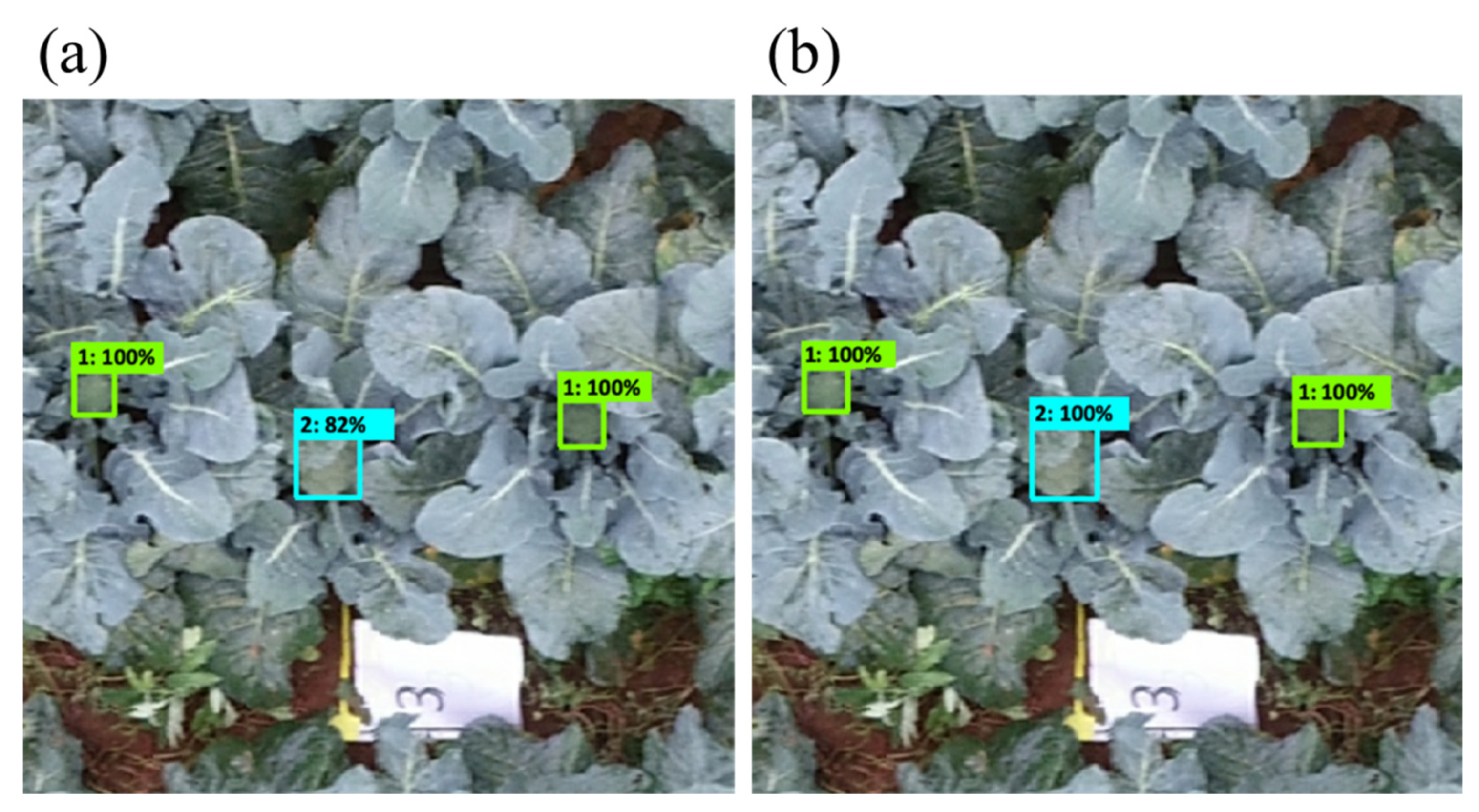 Remotesensing 14 00731 g012