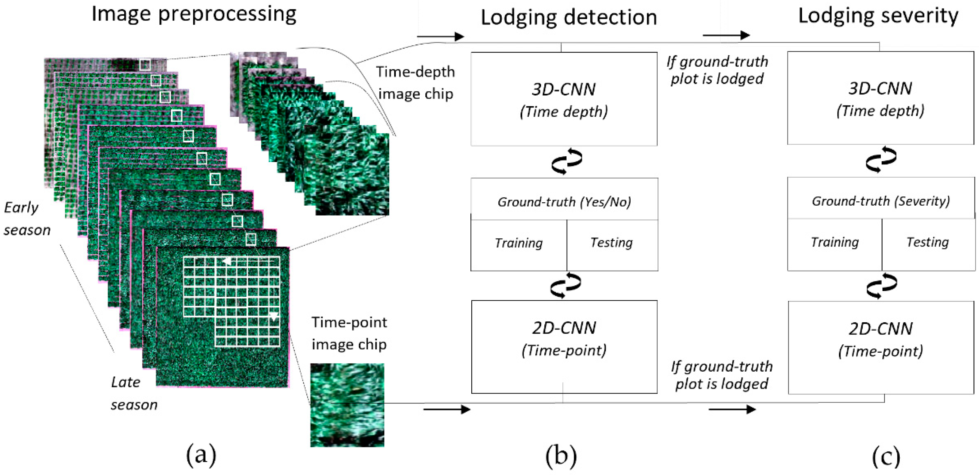 Remotesensing 14 00733 g002 550