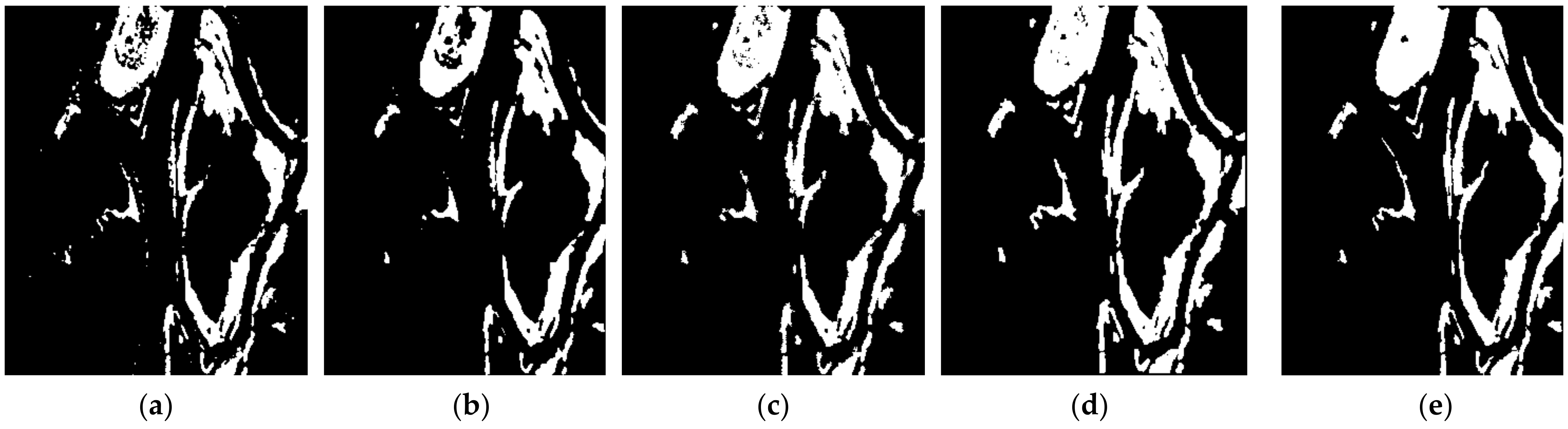 Remotesensing 14 00734 g010a 550