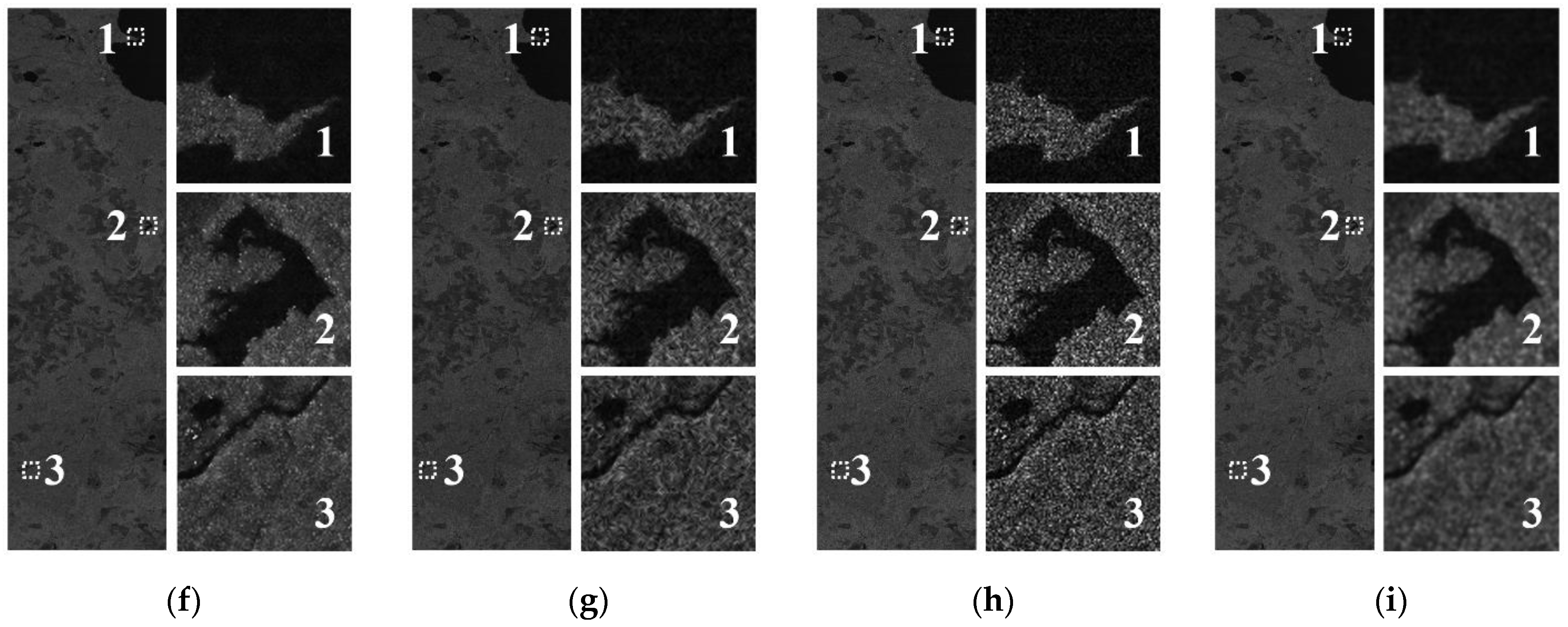 Remotesensing 14 00796 g014b