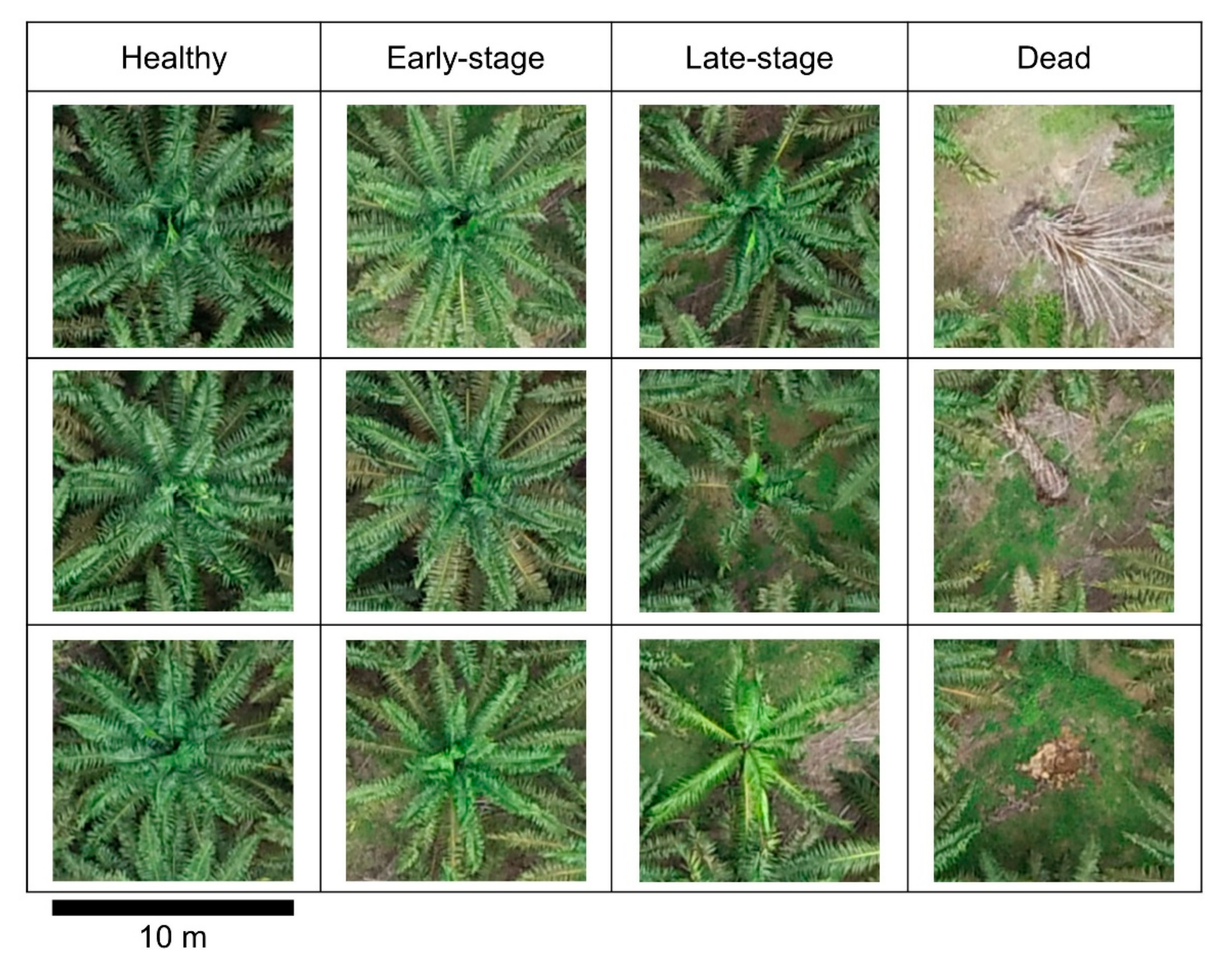 Remotesensing 14 00799 g002