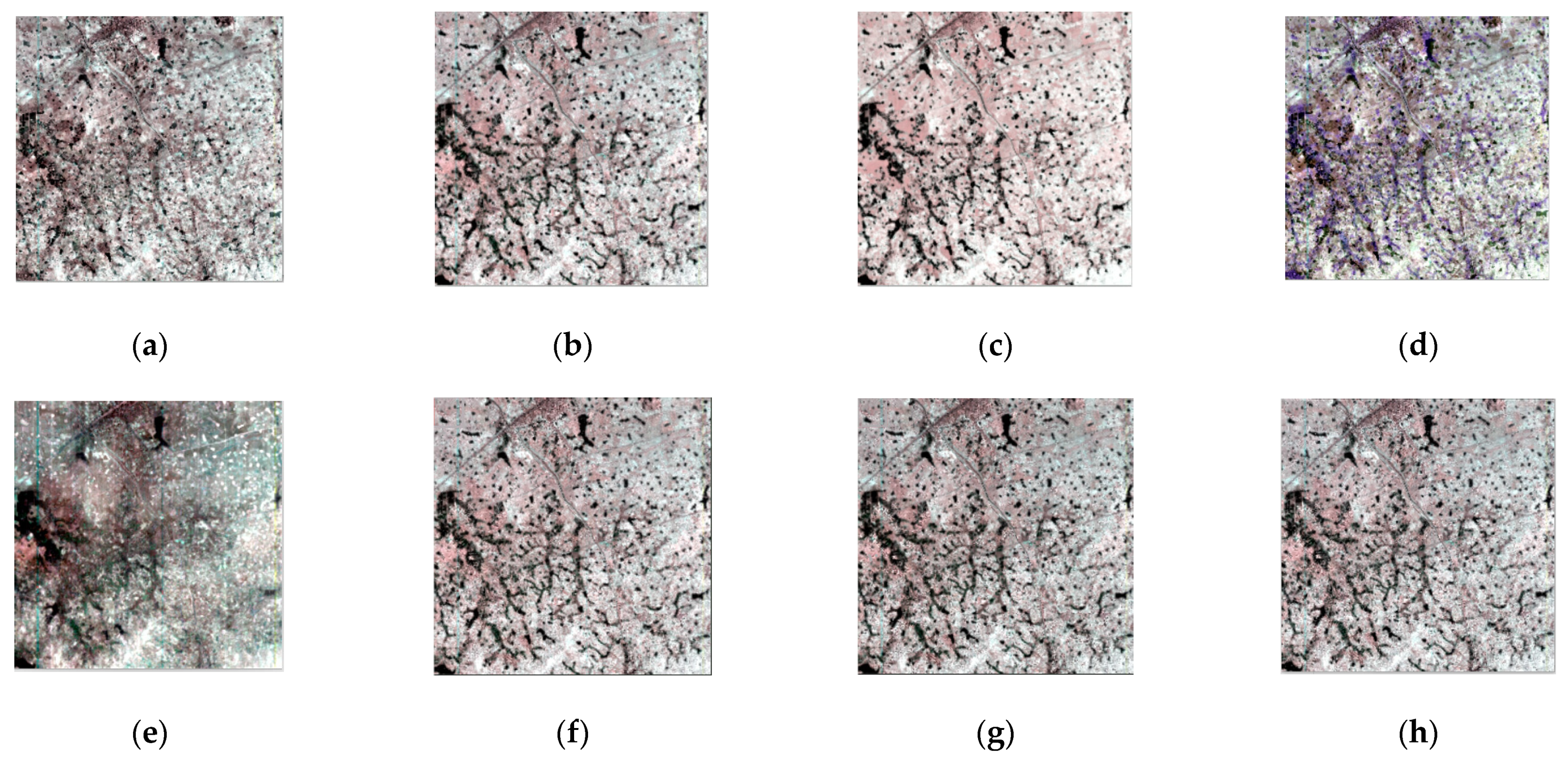 Remotesensing 14 00800 g008 550