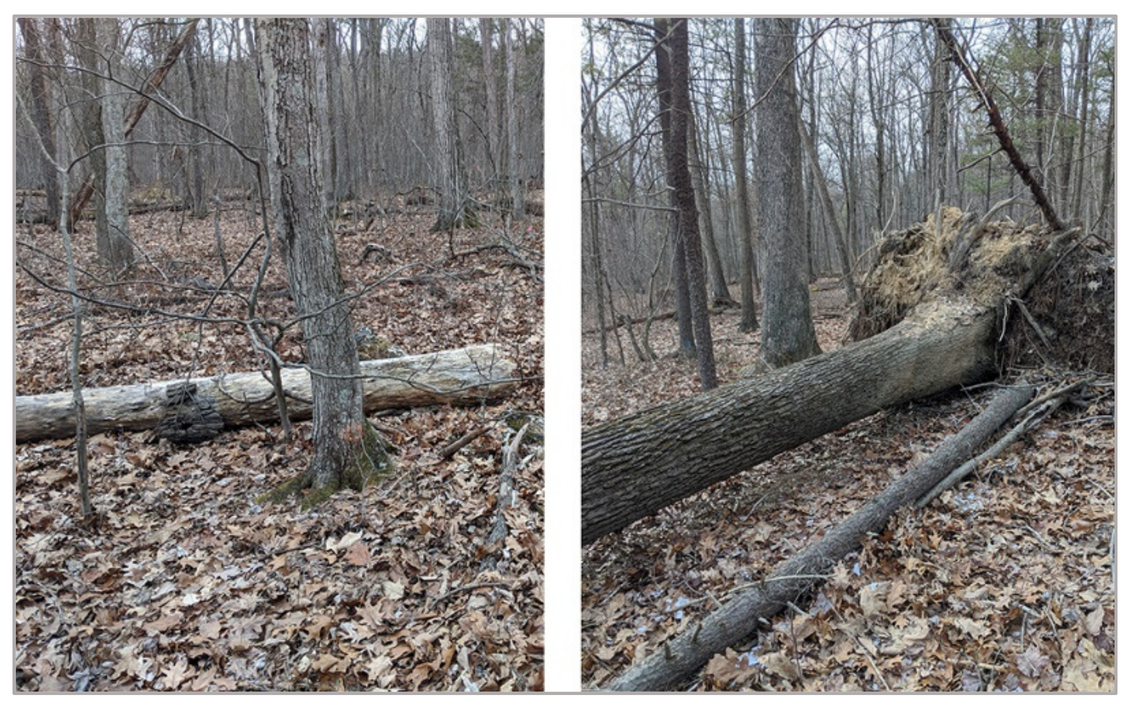 Remotesensing 14 00806 g013