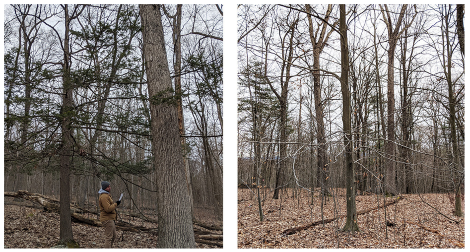 Remotesensing 14 00806 g018