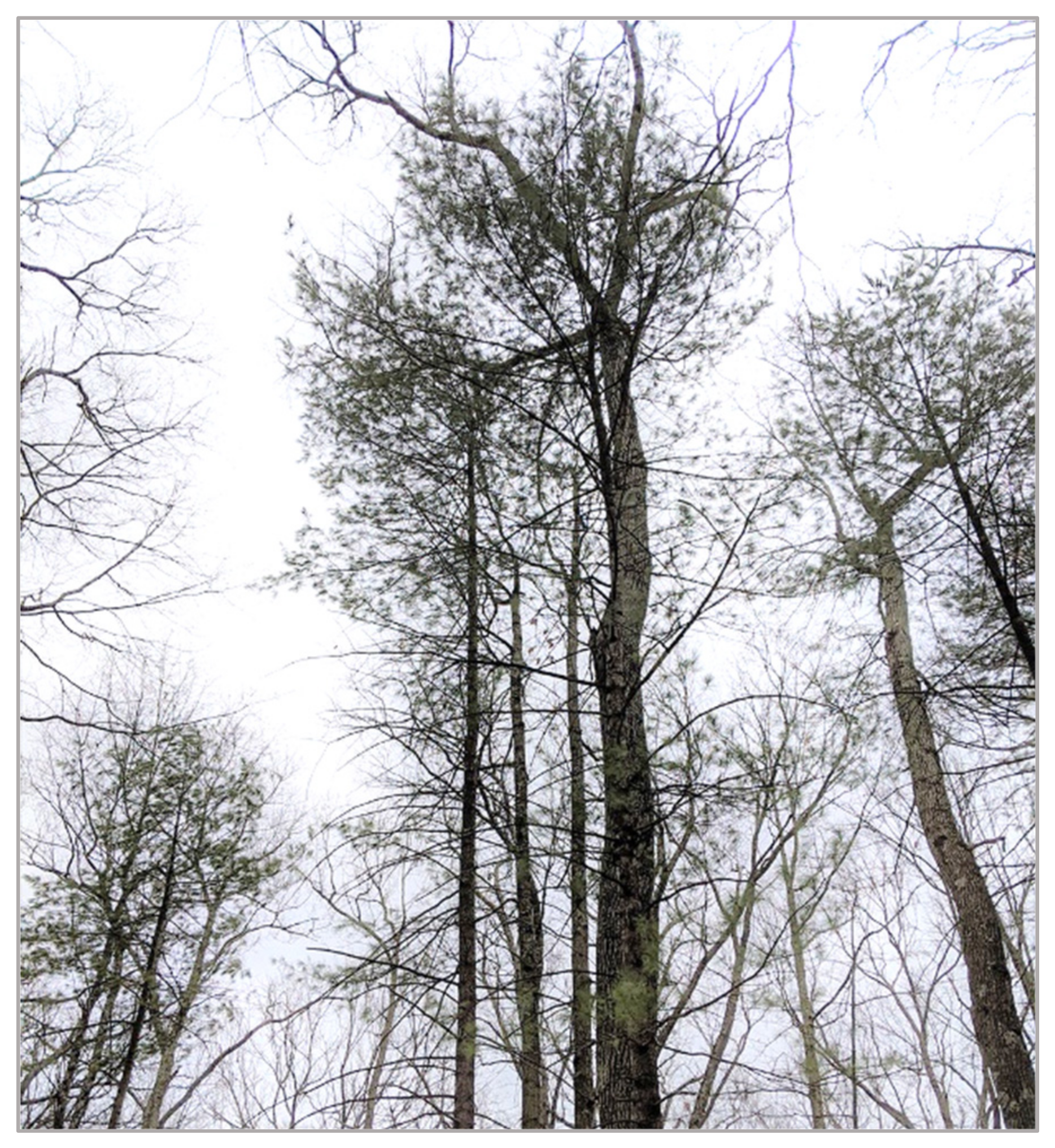 Remotesensing 14 00806 g022