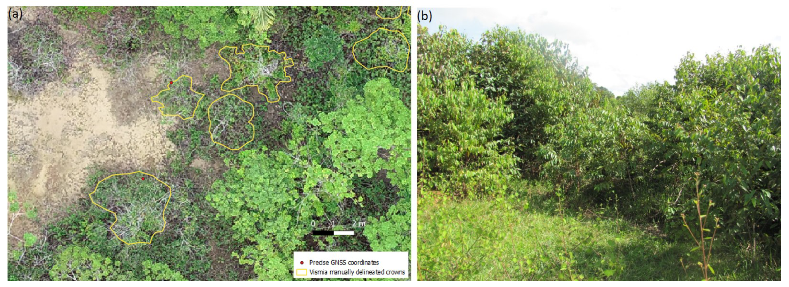 Remotesensing 14 00830 g003