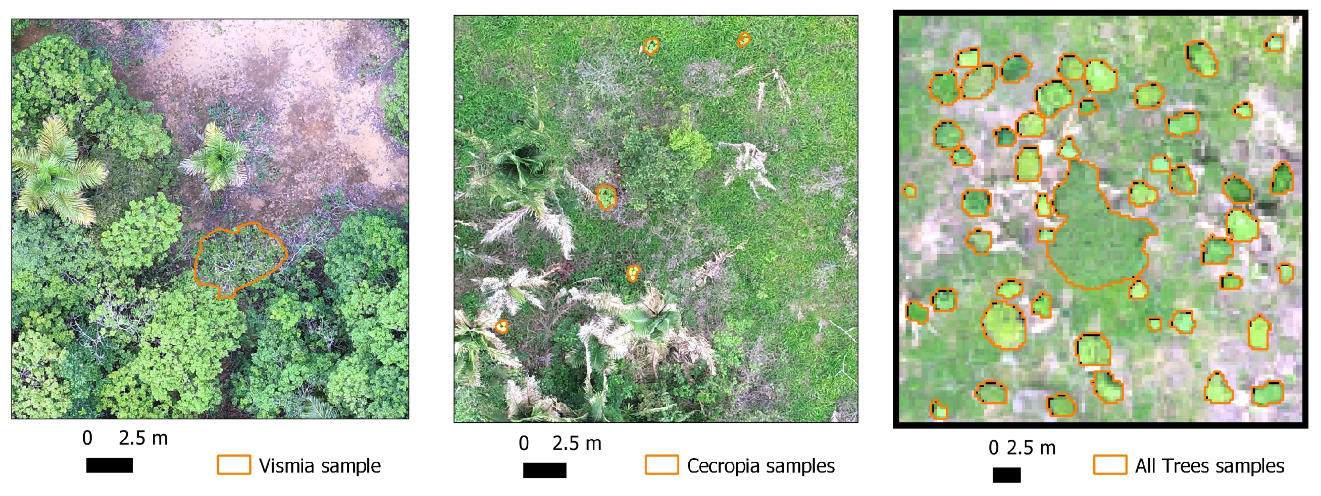 Remotesensing 14 00830 g005