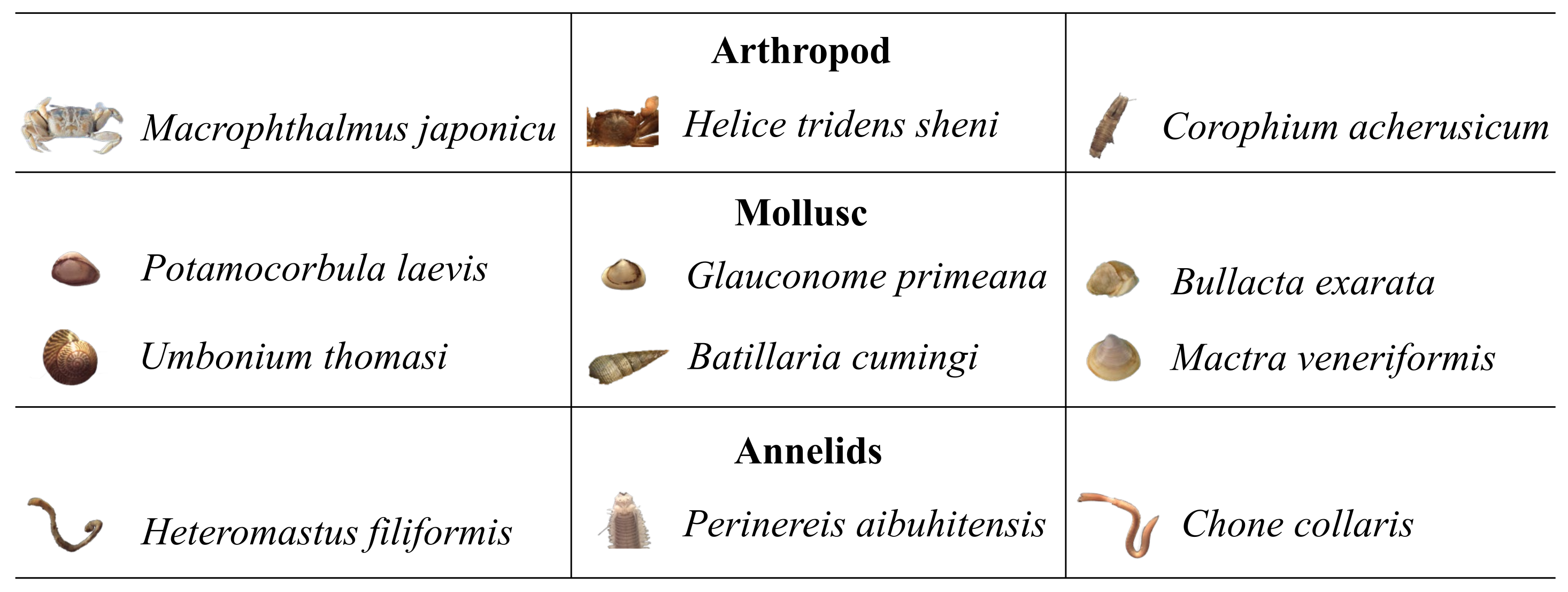 Remotesensing 14 00850 g002 550