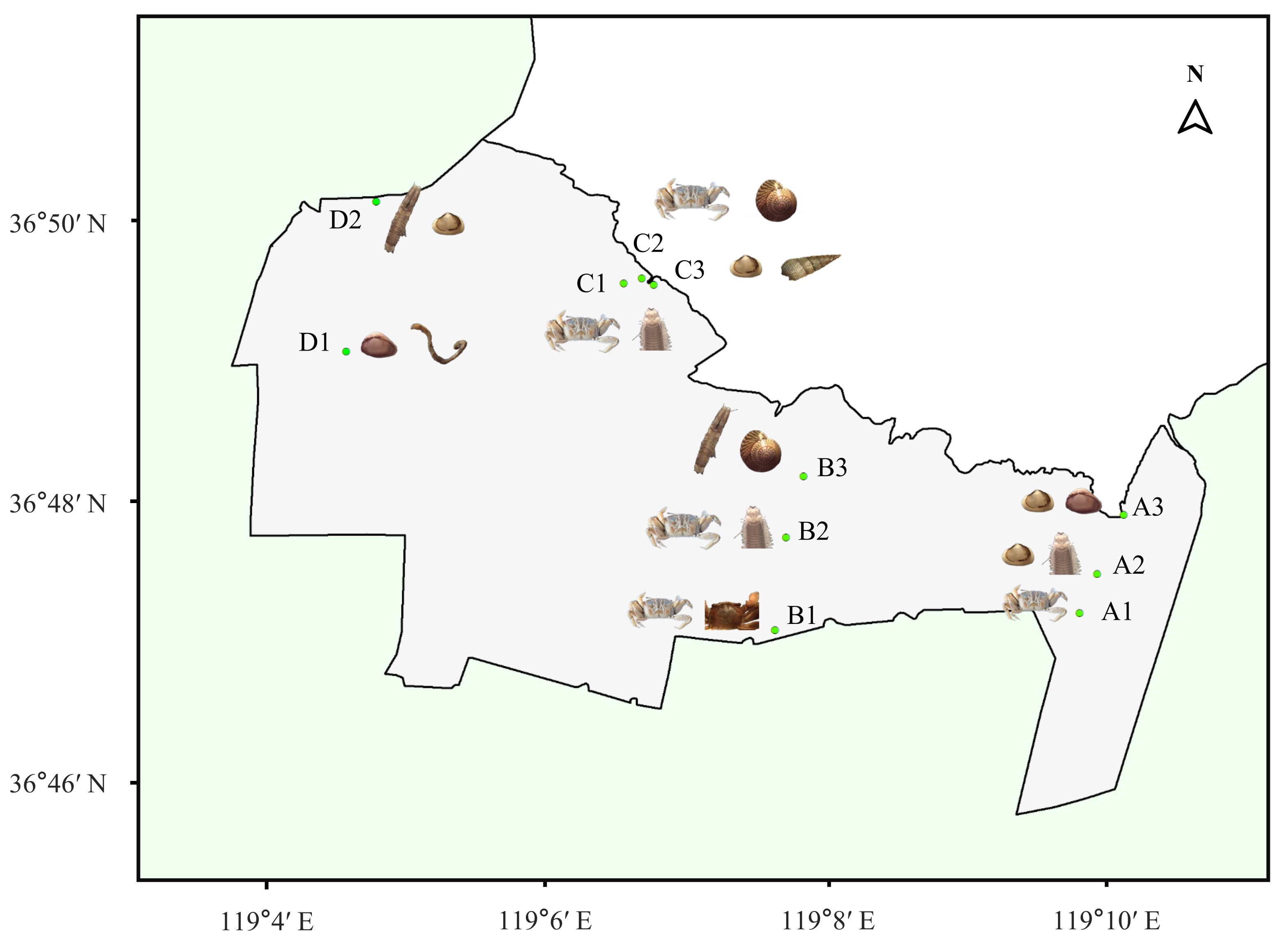 Remotesensing 14 00850 g009 550