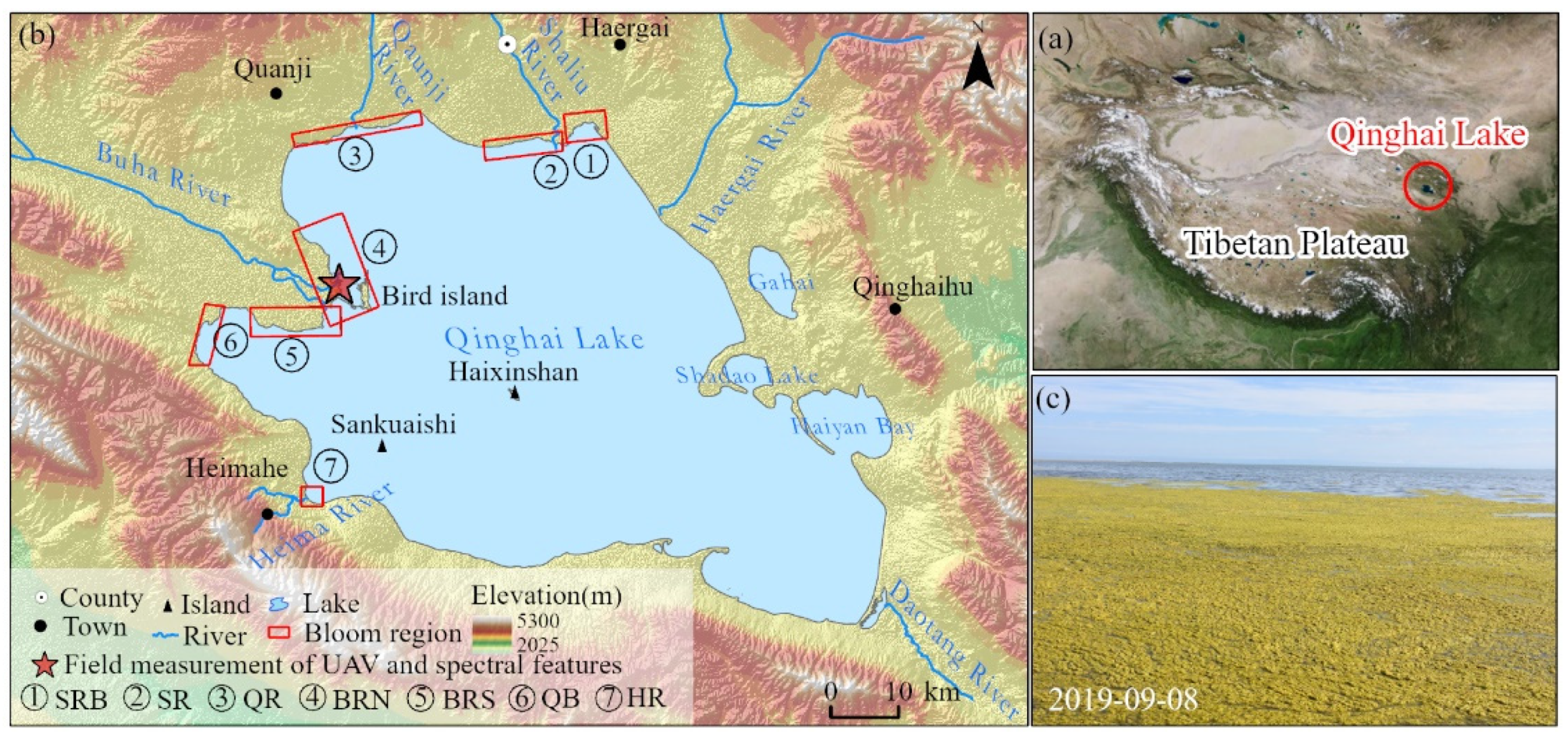 Remotesensing 14 00853 g001