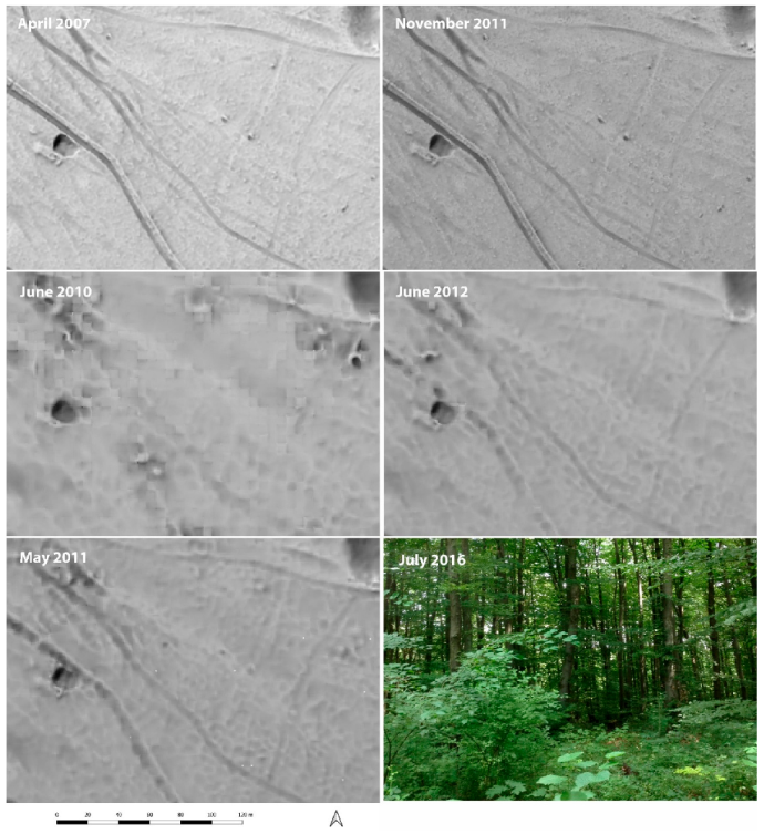 Remotesensing 14 00858 g020 550