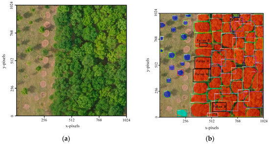 Multi-Species Individual Tree Segmentation and Identification Based on ...