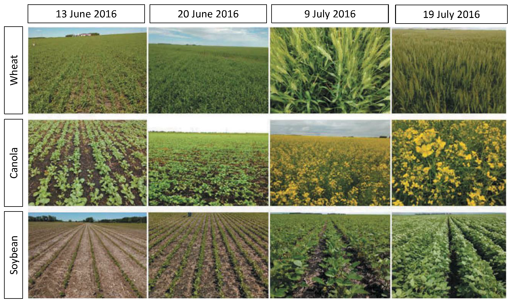 Remotesensing 14 00934 g002