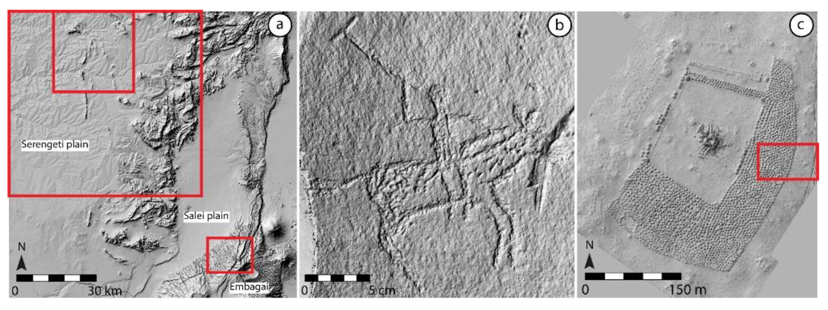 Remotesensing 14 00941 g001 550