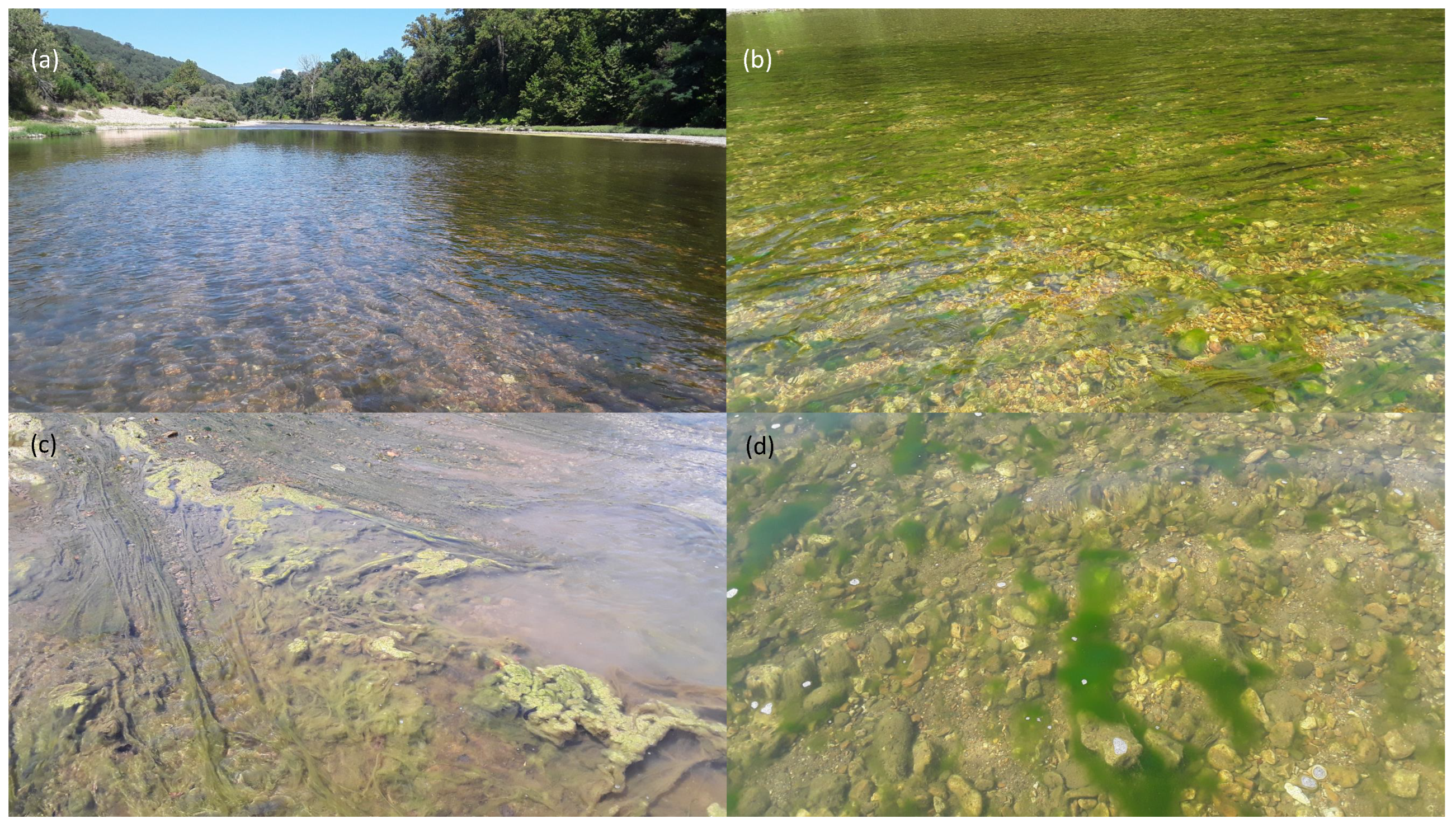 Remotesensing 14 00953 g001