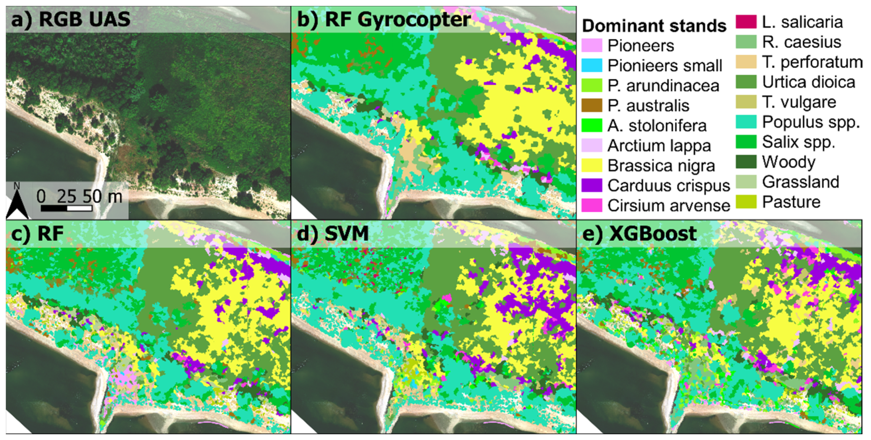 Remotesensing 14 00954 g006