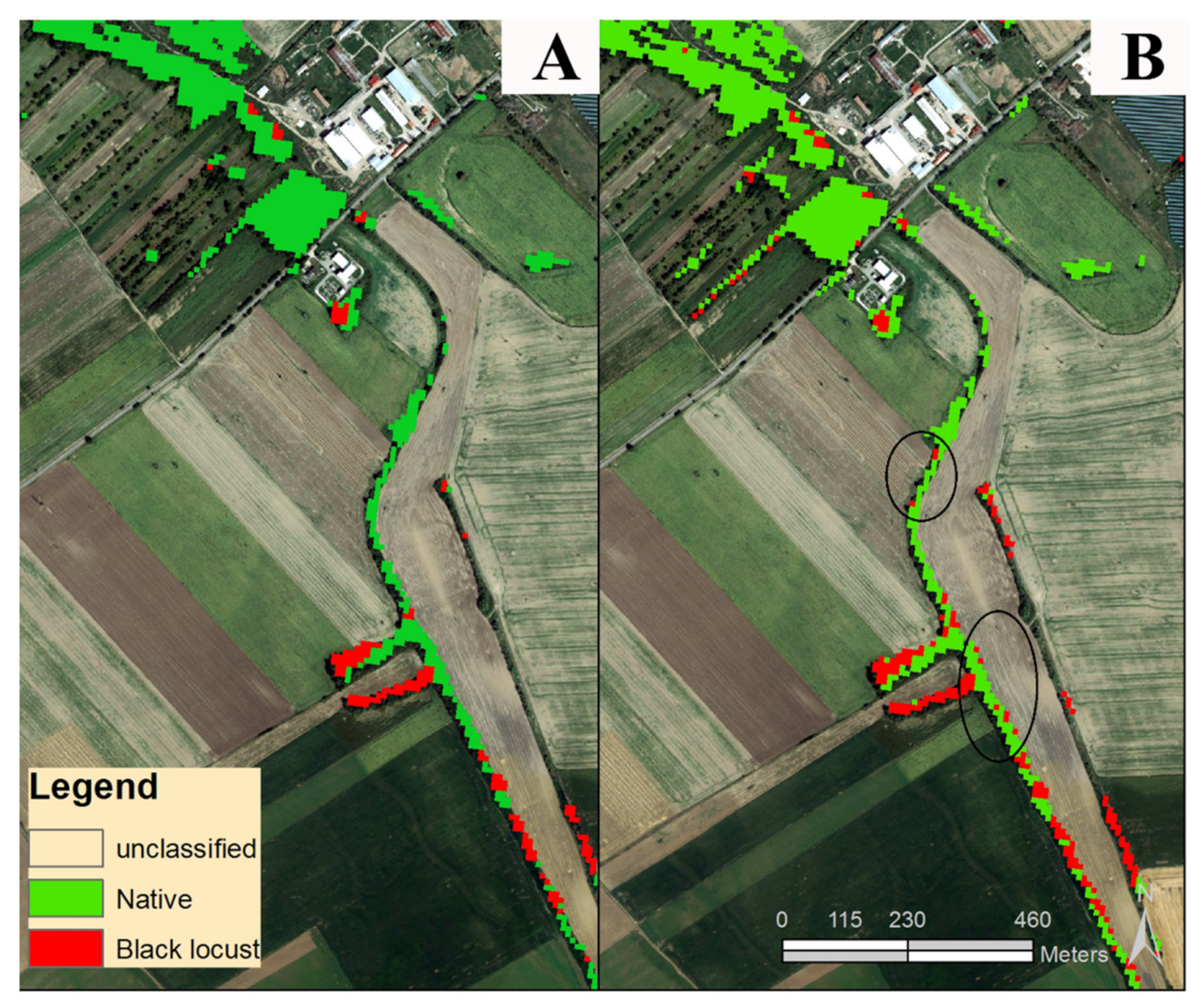 Remotesensing 14 00971 g009