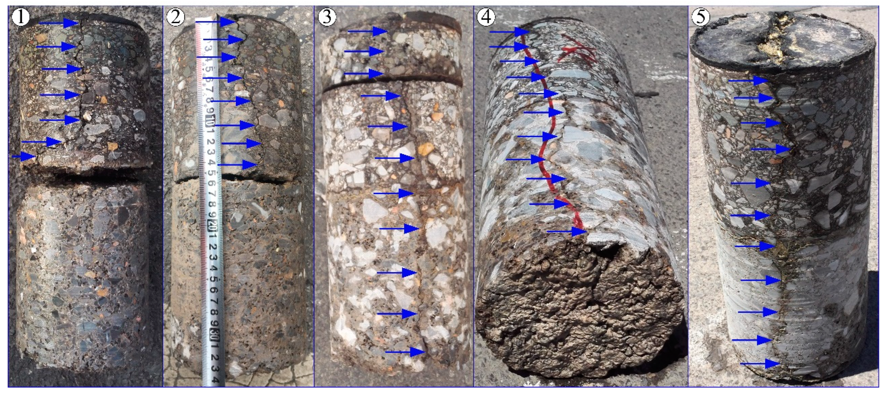 Remotesensing 14 00976 g010