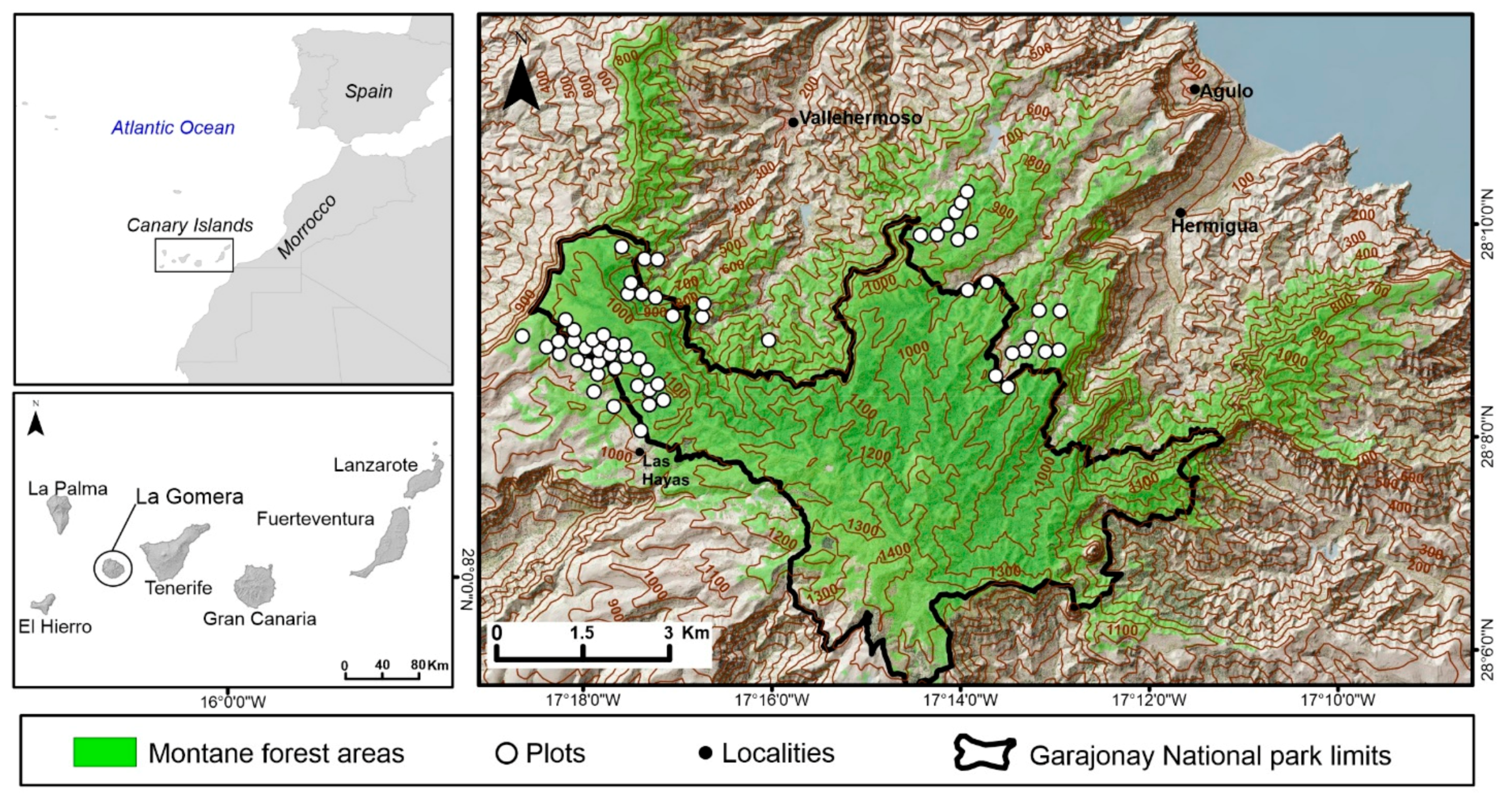 Remotesensing 14 00994 g001 550