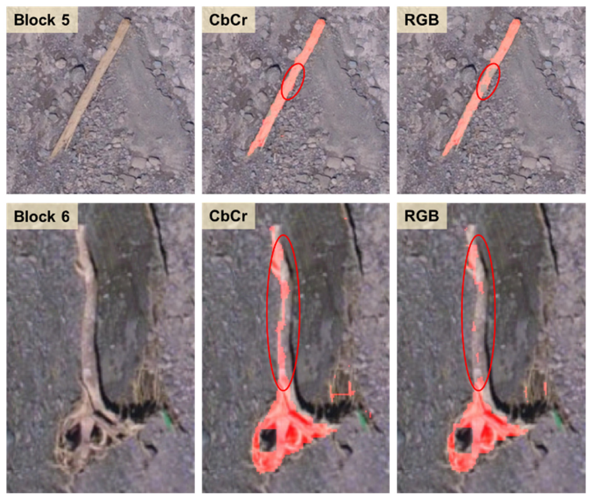 Remotesensing 14 00998 g010 550