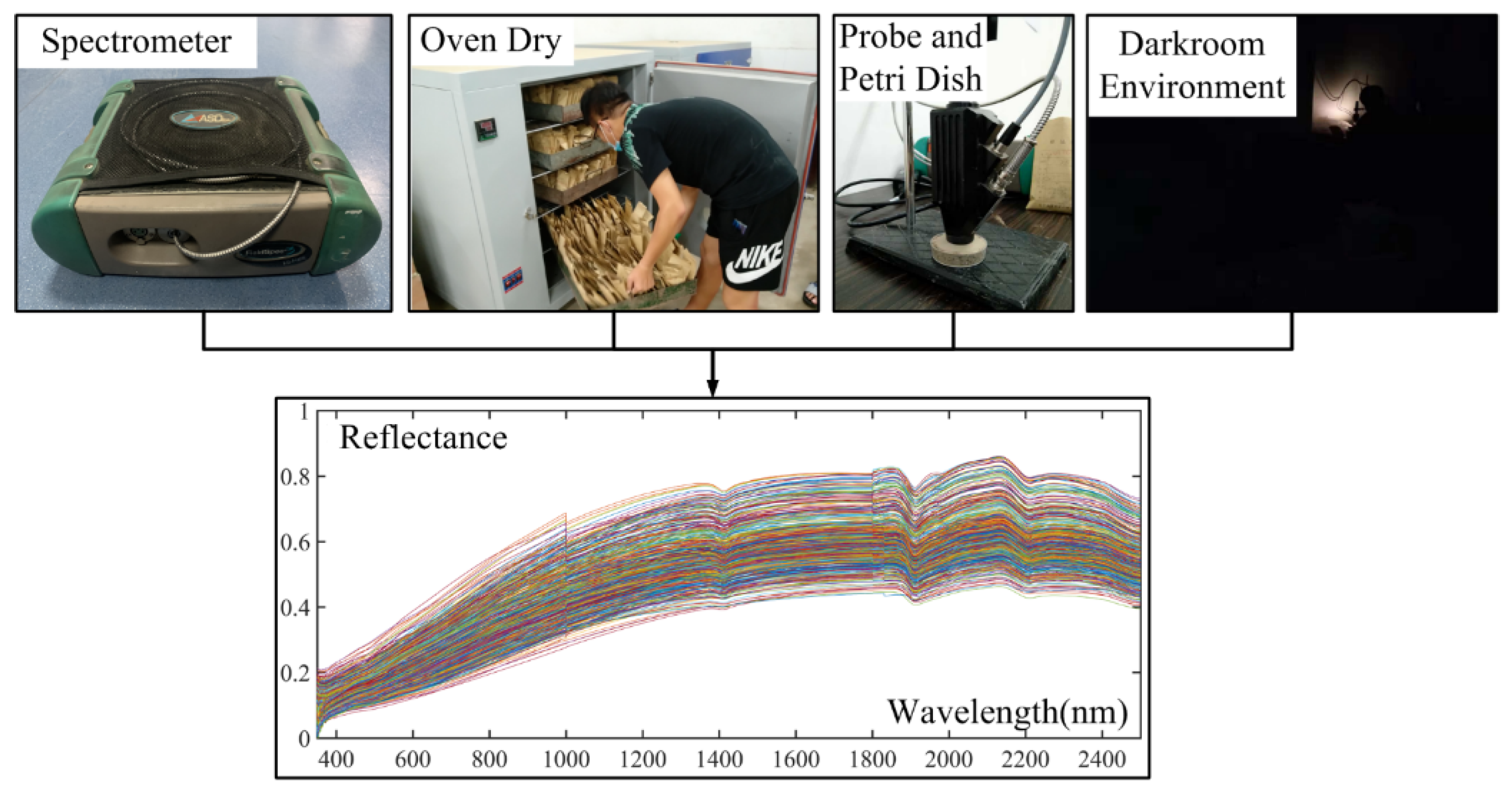 Remotesensing 14 01008 g002 550