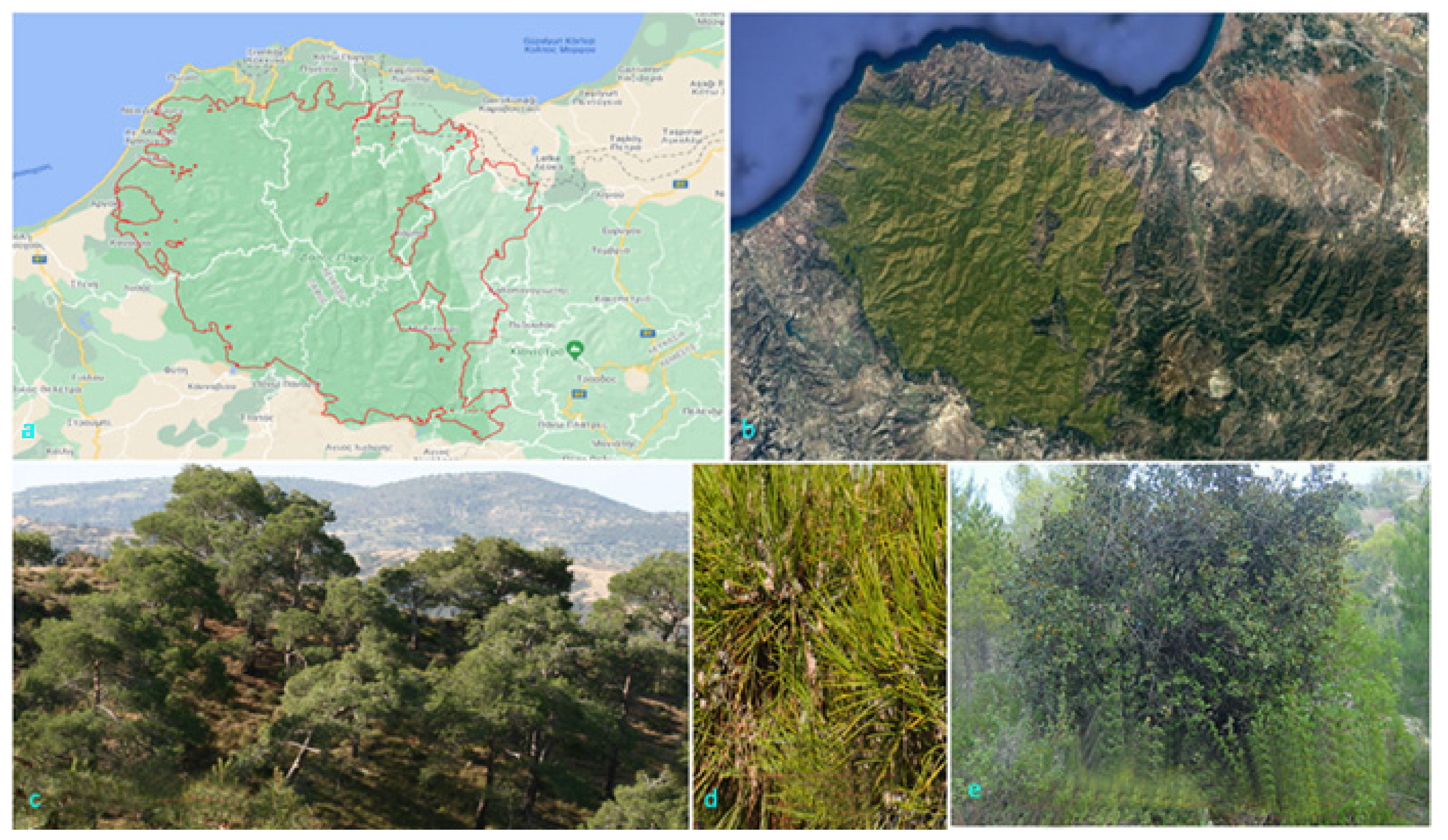 Remotesensing 14 01010 g001 Remotesensing 14 01010 g001